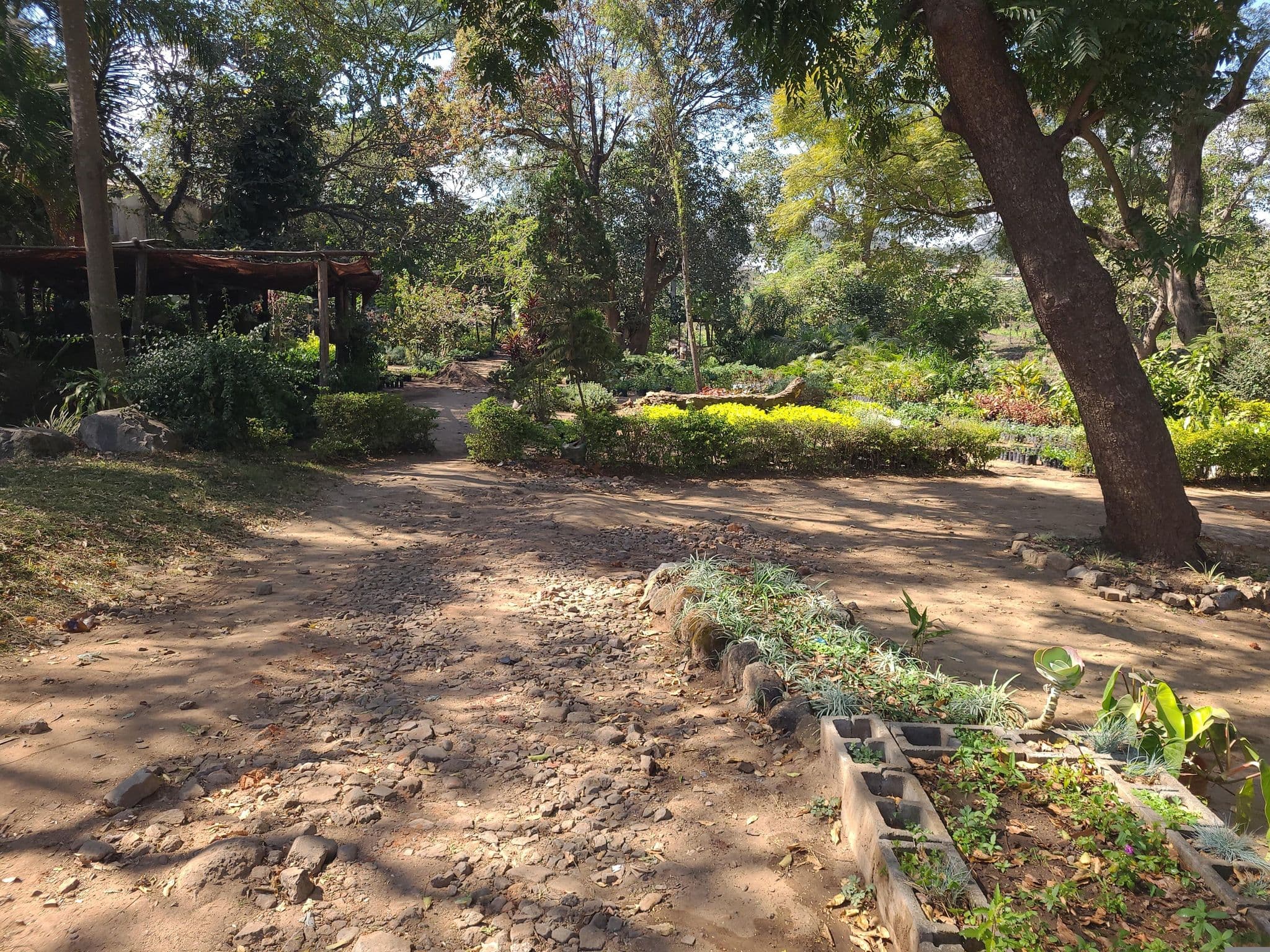 Street view near Hotel Victoria, Blantyre — © armfor (CC BY-SA · Mapillary)