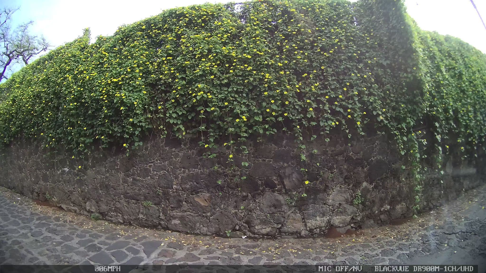 Street view near Xacallan Boutique Hotel, Tepoztlán — © kaart_4 (CC BY-SA · Mapillary)