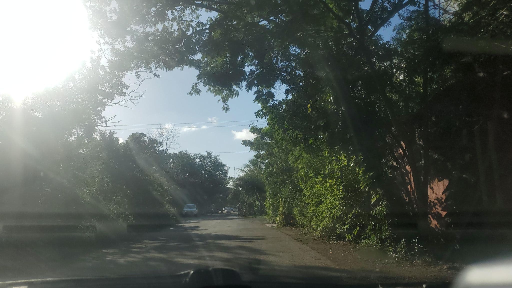 Street view near Don Diego de la Selva, Tulum