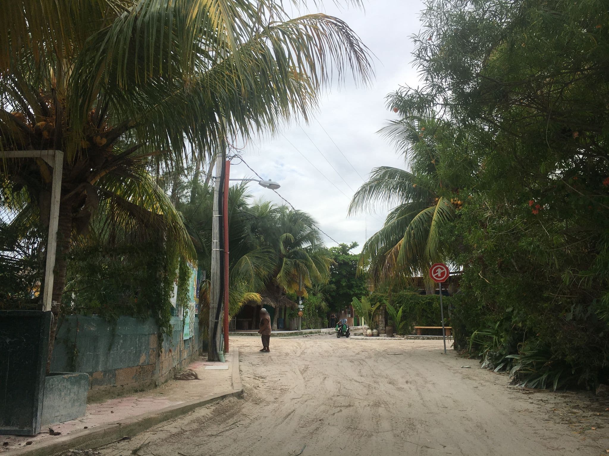 Street view near Casa Las Tortugas, Isla Holbox — © z0rg (CC BY-SA · Mapillary)