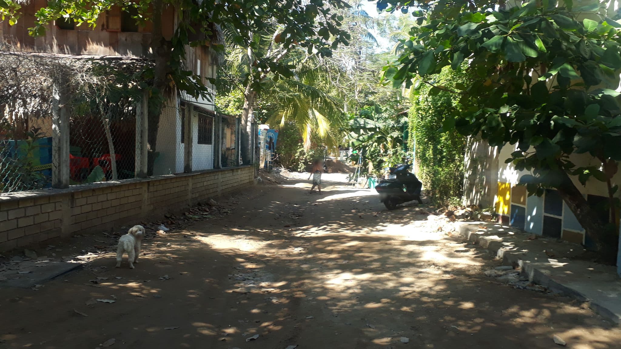 Street view near Posada Frida, Puerto Ángel — © mapillarymatt (CC BY-SA · Mapillary)