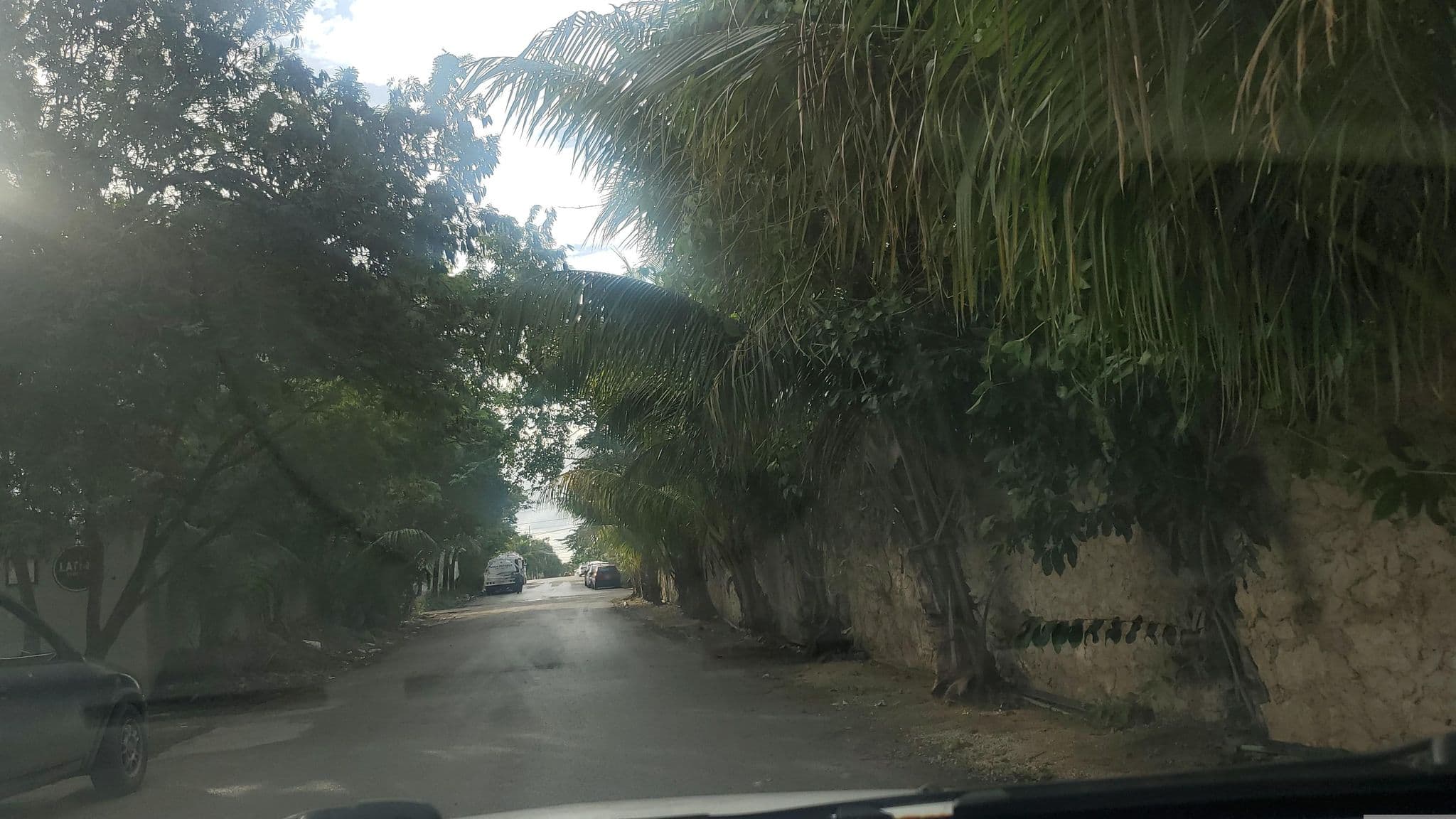 Street view near Botånica, Tulum — © mapillaryuserid (CC BY-SA · Mapillary)