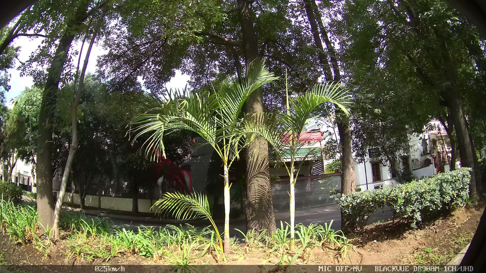 Street view near Suites Obelisk, Polanco — © kaart_2 (CC BY-SA · Mapillary)