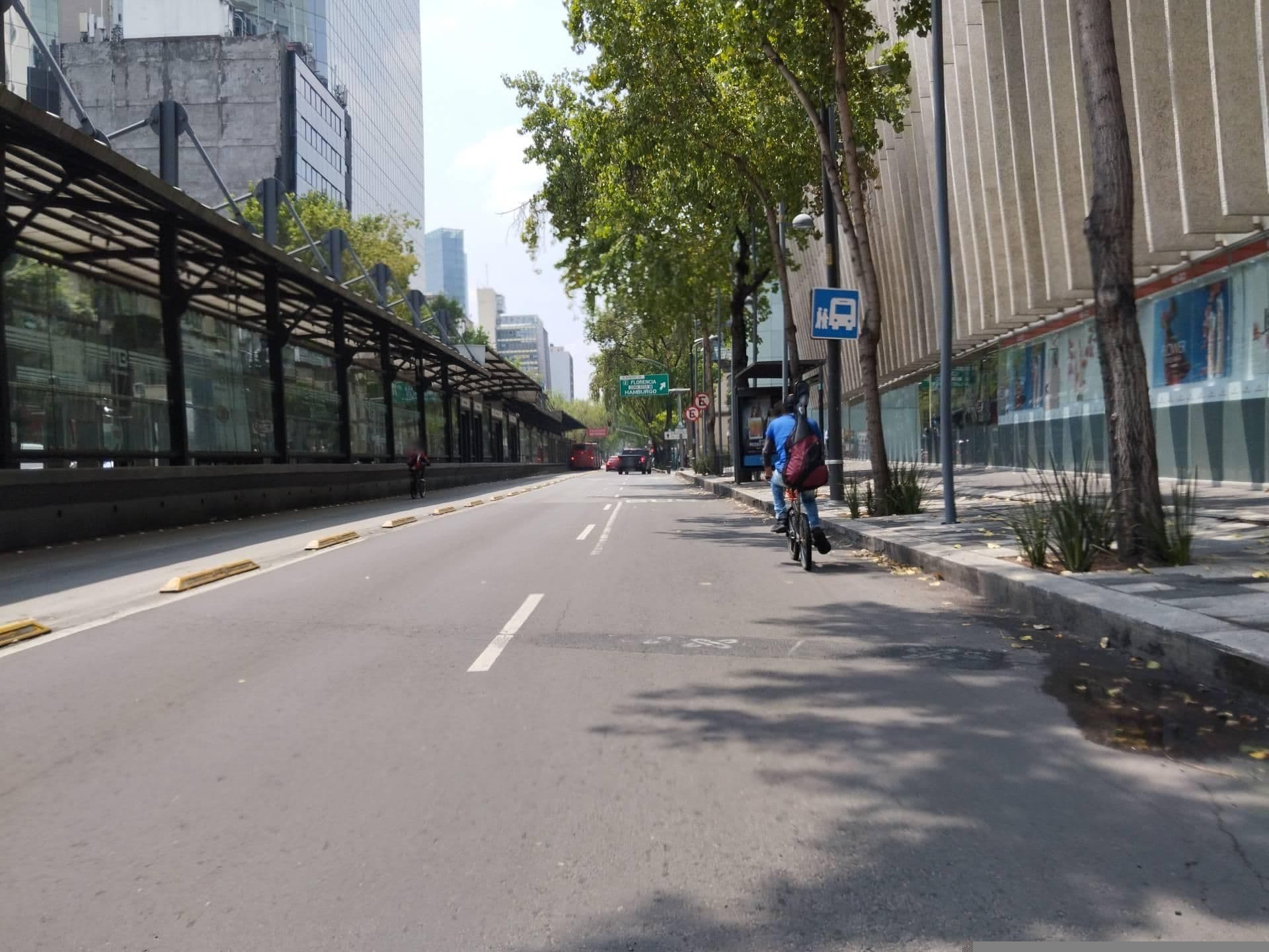 Street view near Suites Hamburgo, Cuauhtémoc — © BatmanIsReal (CC BY-SA · Mapillary)
