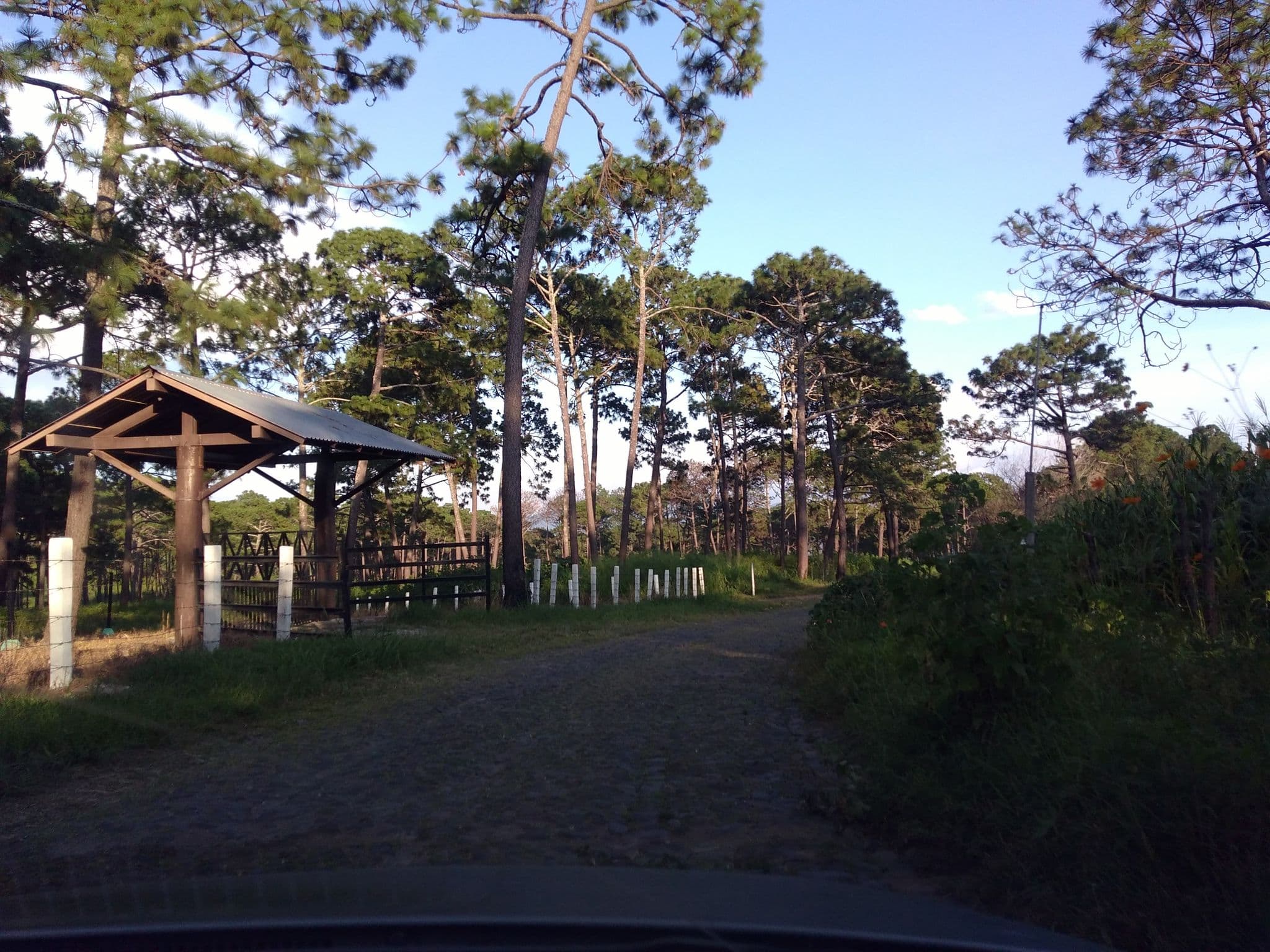 Street view near La Ocotera Hotel de Montaña, Tonila — © dabro28 (CC BY-SA · Mapillary)