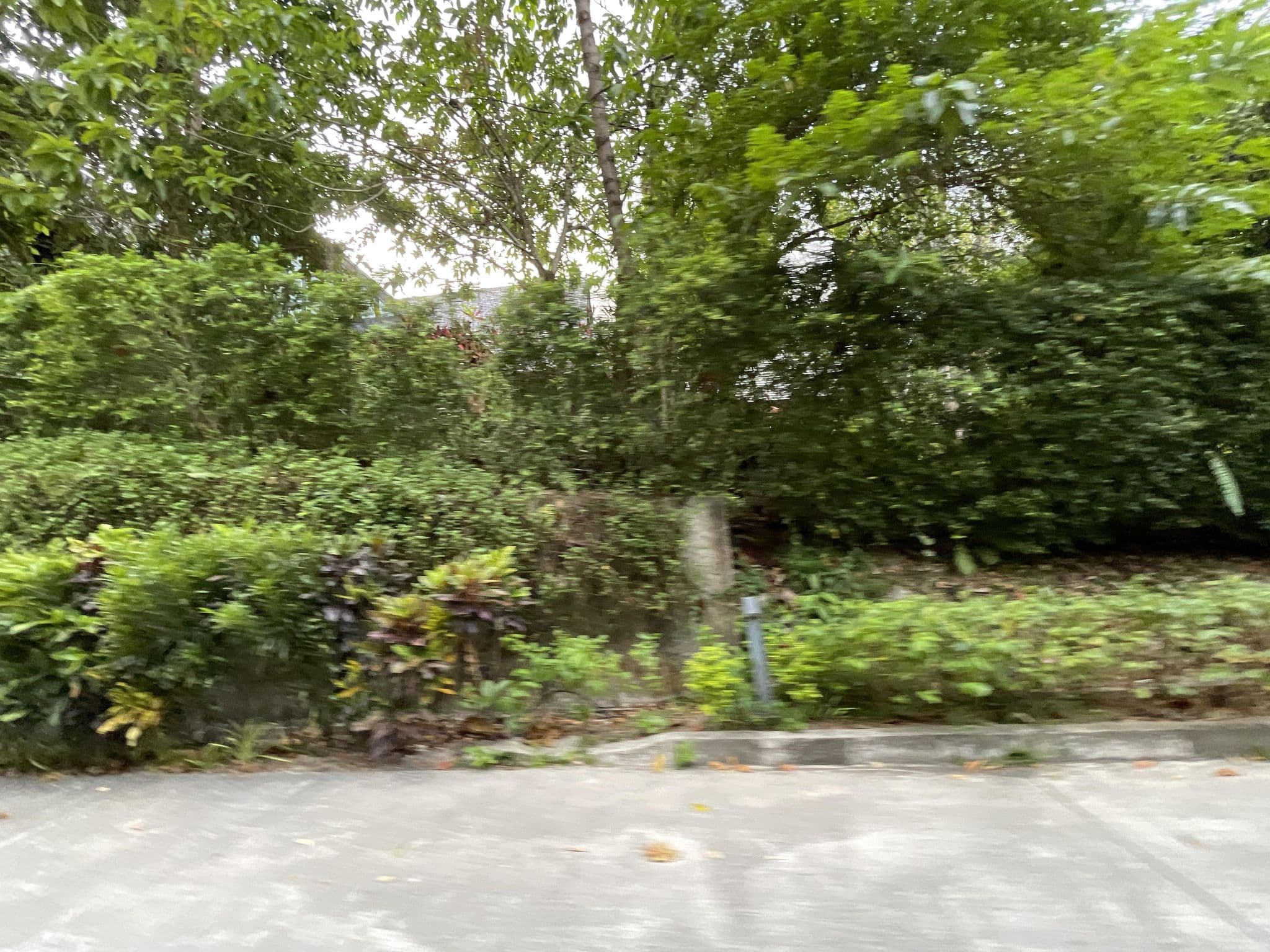 Street view near The Ritz-Carlton, Langkawi, Kampung Kok — © filipb (CC BY-SA · Mapillary)
