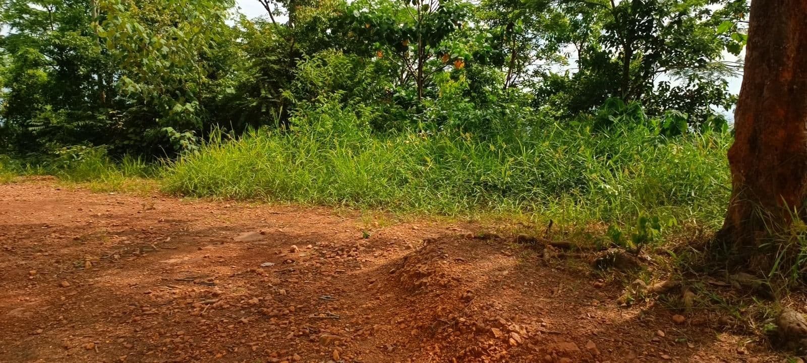 Street view near Campsite, Tikam Batu — © SamTew (CC BY-SA · Mapillary)