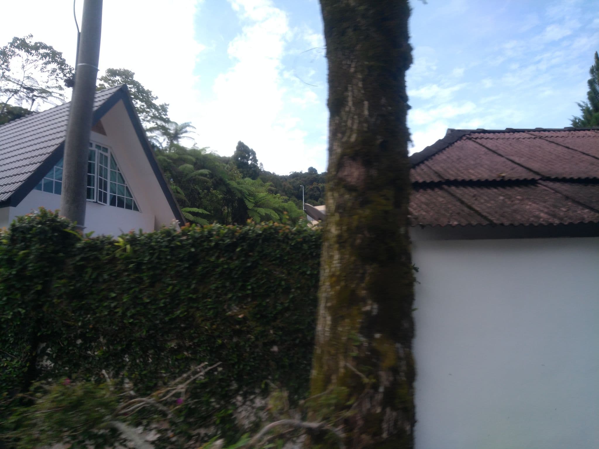 Street view near Cameronian Inn, Tanah Rata — © remonet (CC BY-SA · Mapillary)