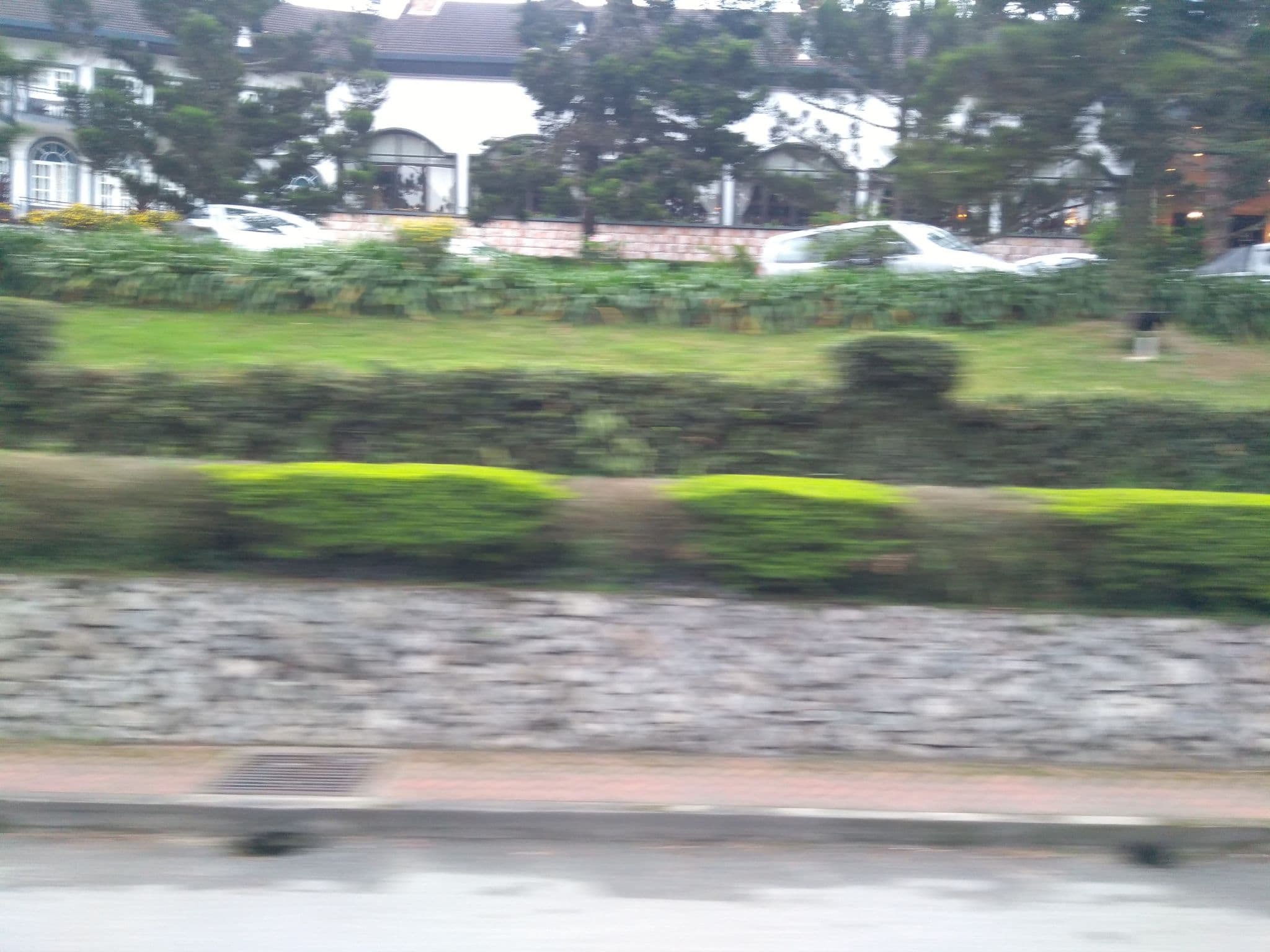 Street view near Cameron Highlands Resort, Berincang — © remonet (CC BY-SA · Mapillary)