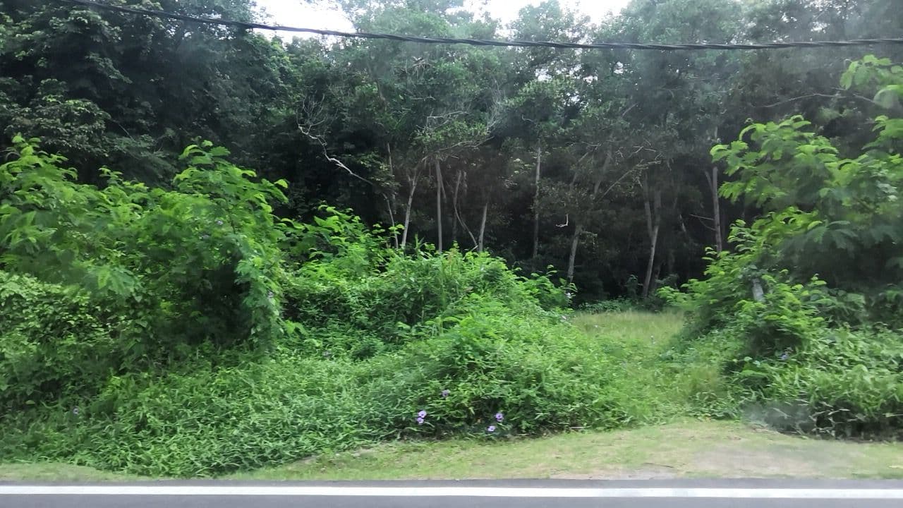 Street view near Pangkor Village Beach Resort, Pangkor — © amira_natasha (CC BY-SA · Mapillary)