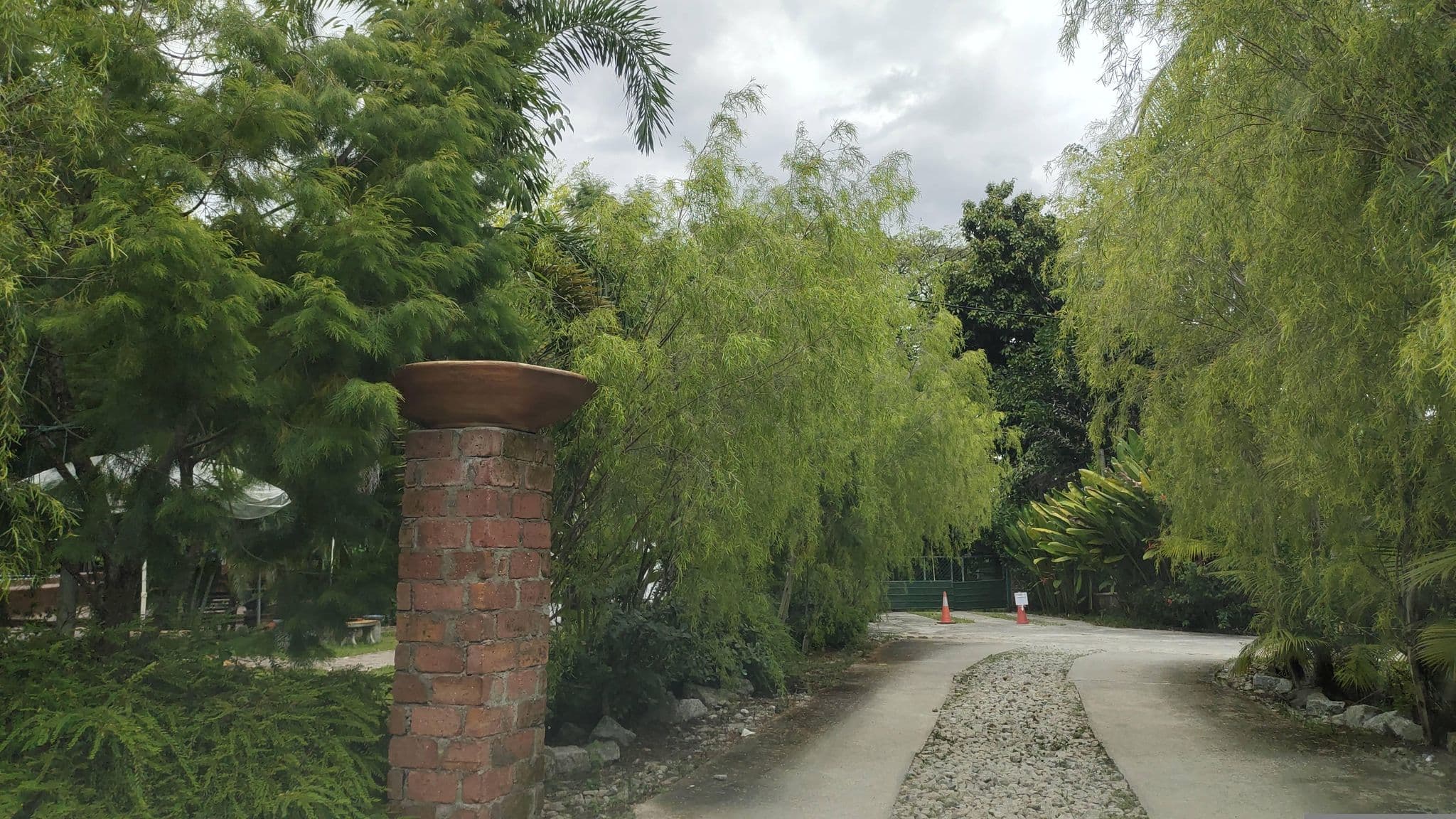 Street view near Ever Fresh Mushroom, Ipoh — © zh9567 (CC BY-SA · Mapillary)