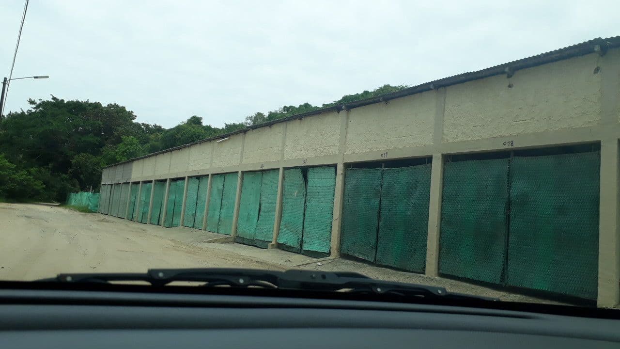 Street view near Palmeiras Campsite, Bilene — © patriciaferrao (CC BY-SA · Mapillary)