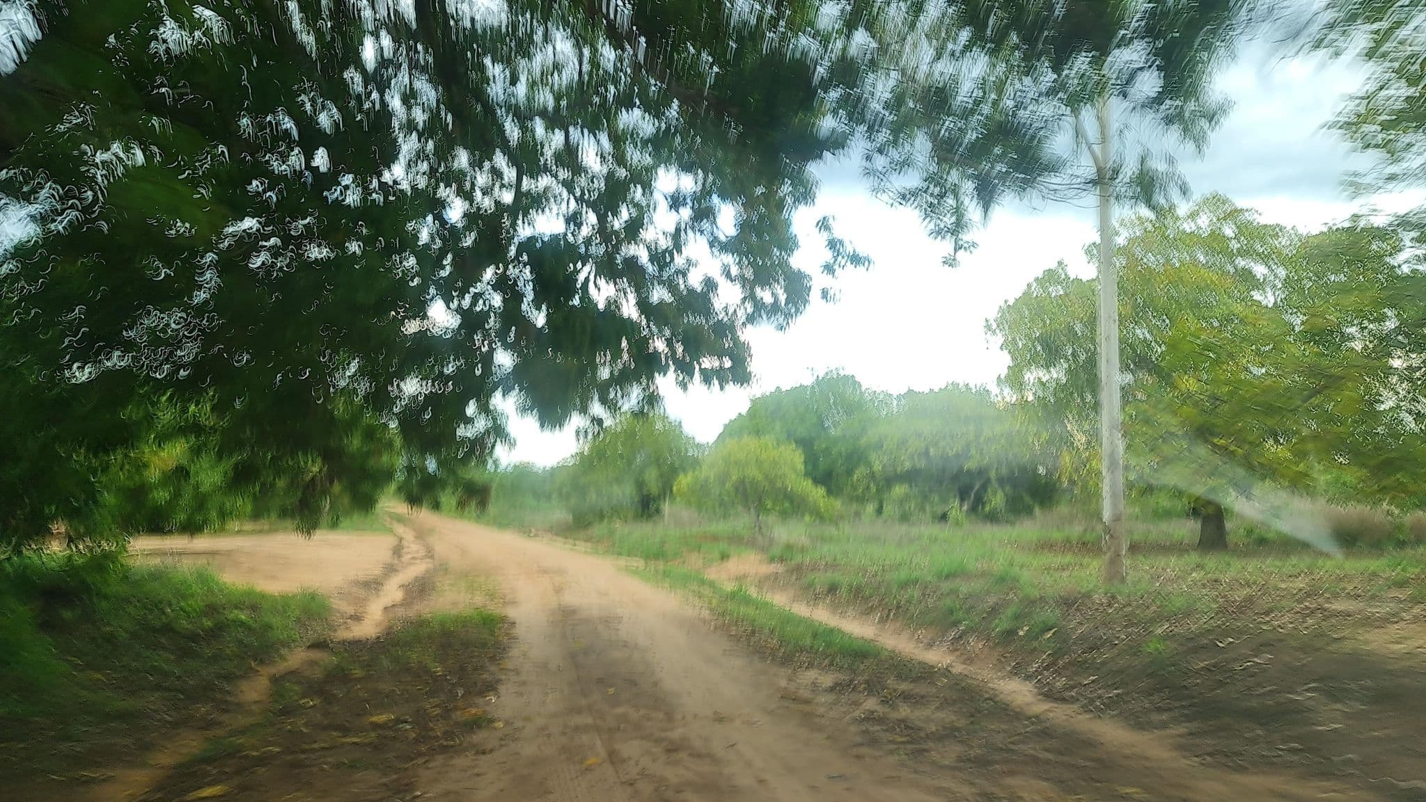 Street view near Namahipe Regulo, Micolene — © jbonde30 (CC BY-SA · Mapillary)