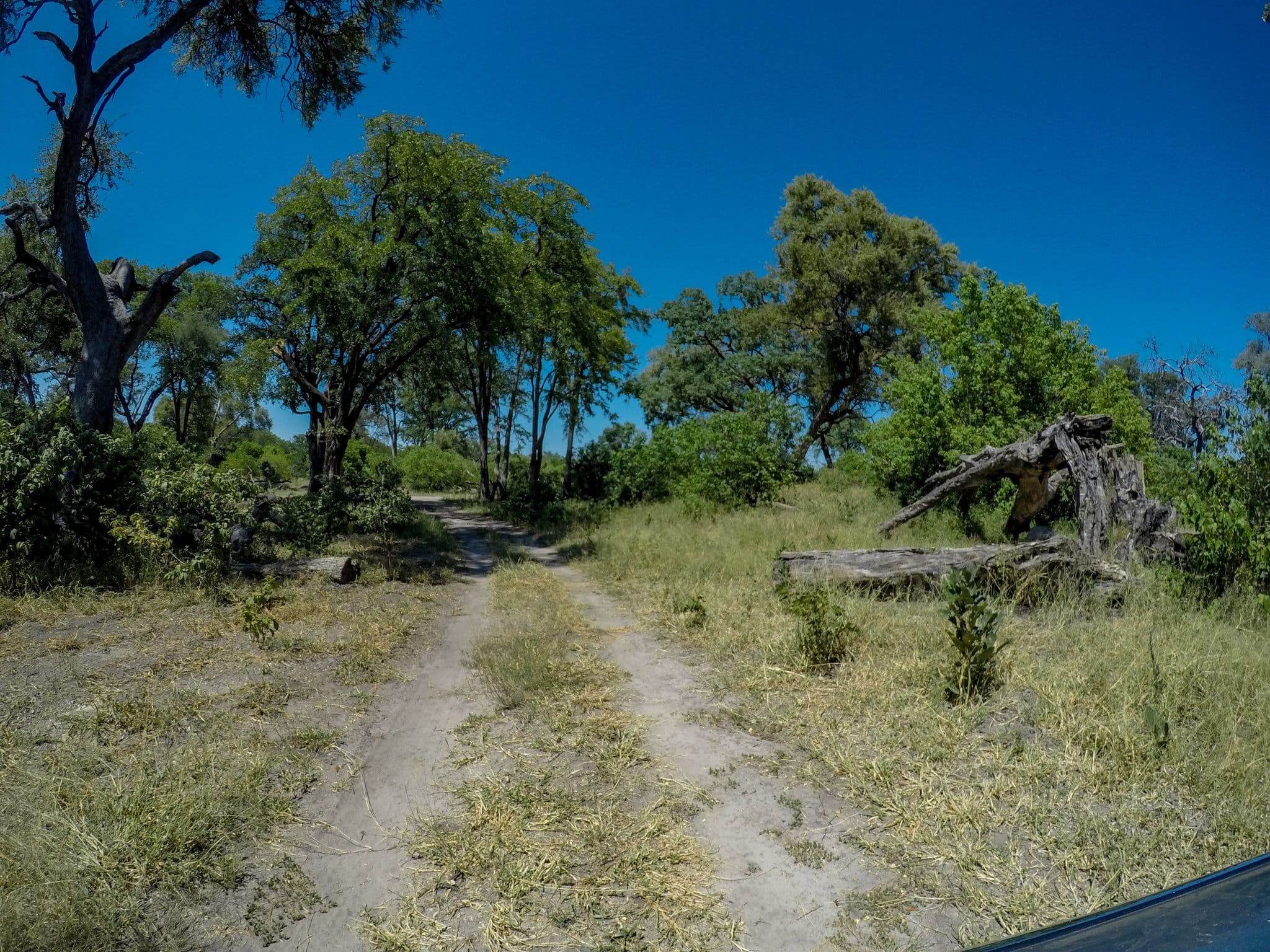 Street view near CI2, Linyanti — © elphix (CC BY-SA · Mapillary)
