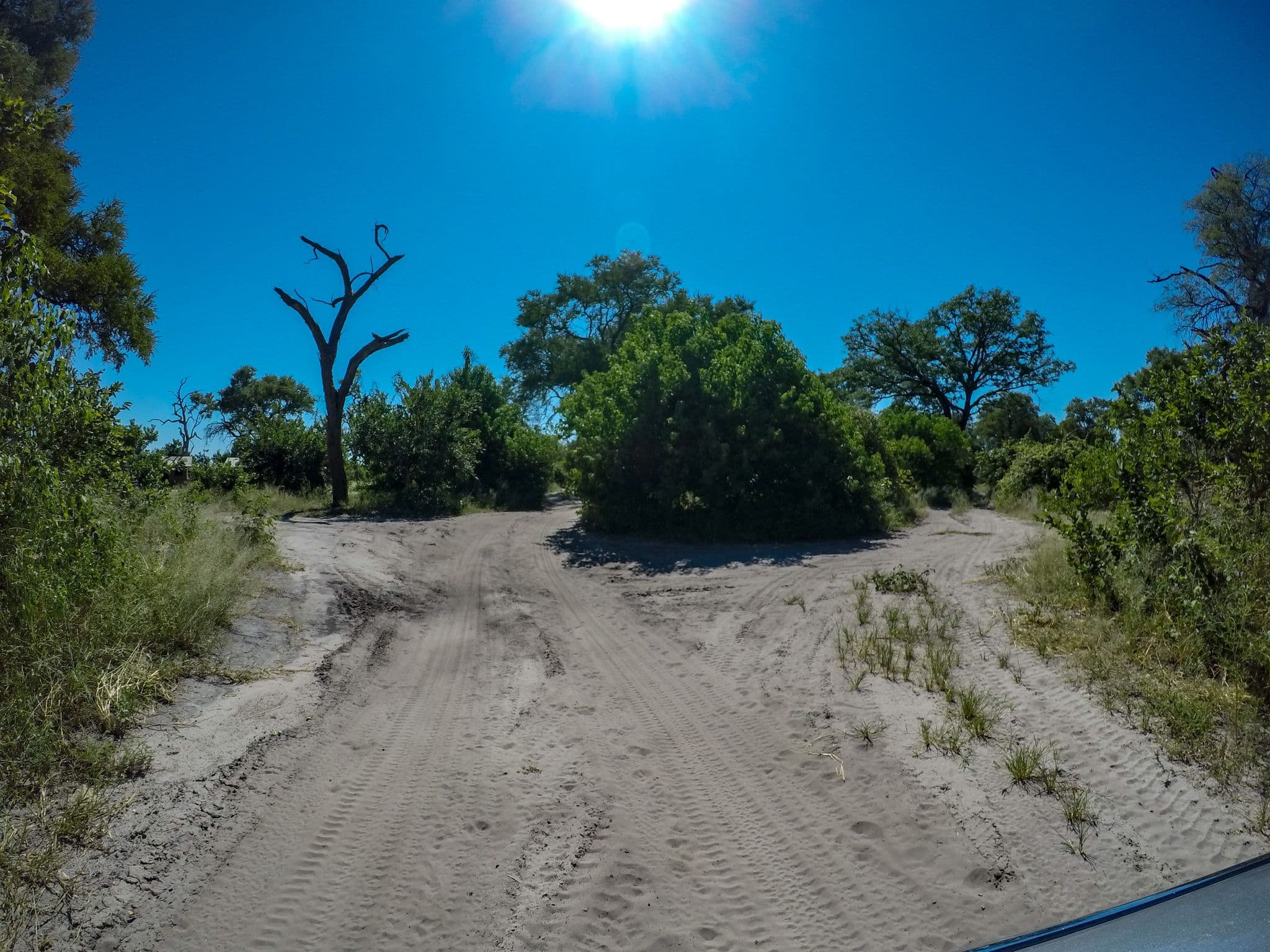 Street view near Camp Linyanti (SKL), Linyanti — © elphix (CC BY-SA · Mapillary)