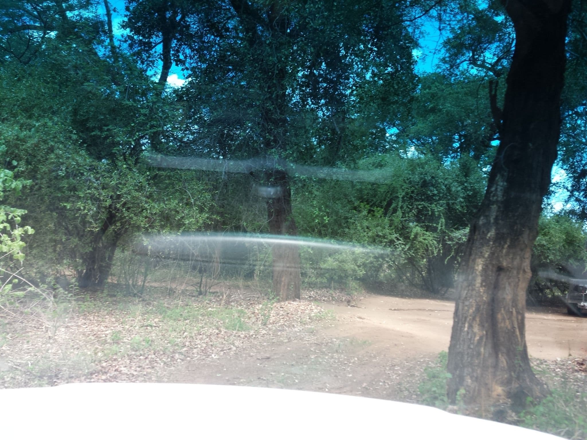 Street view near Campsite 9, Bagani — © staehler (CC BY-SA · Mapillary)