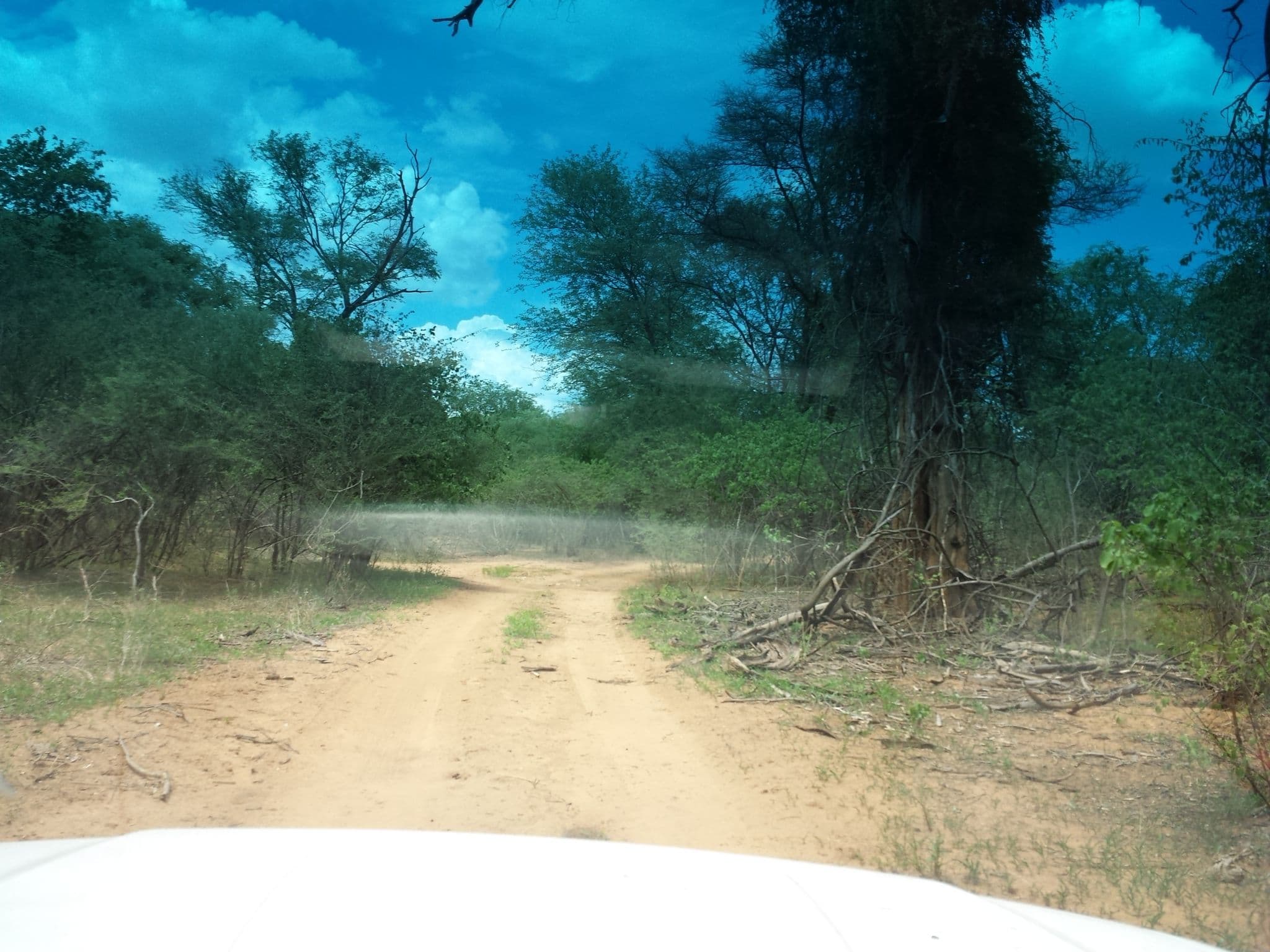 Street view near Campsite 4, Bagani — © staehler (CC BY-SA · Mapillary)
