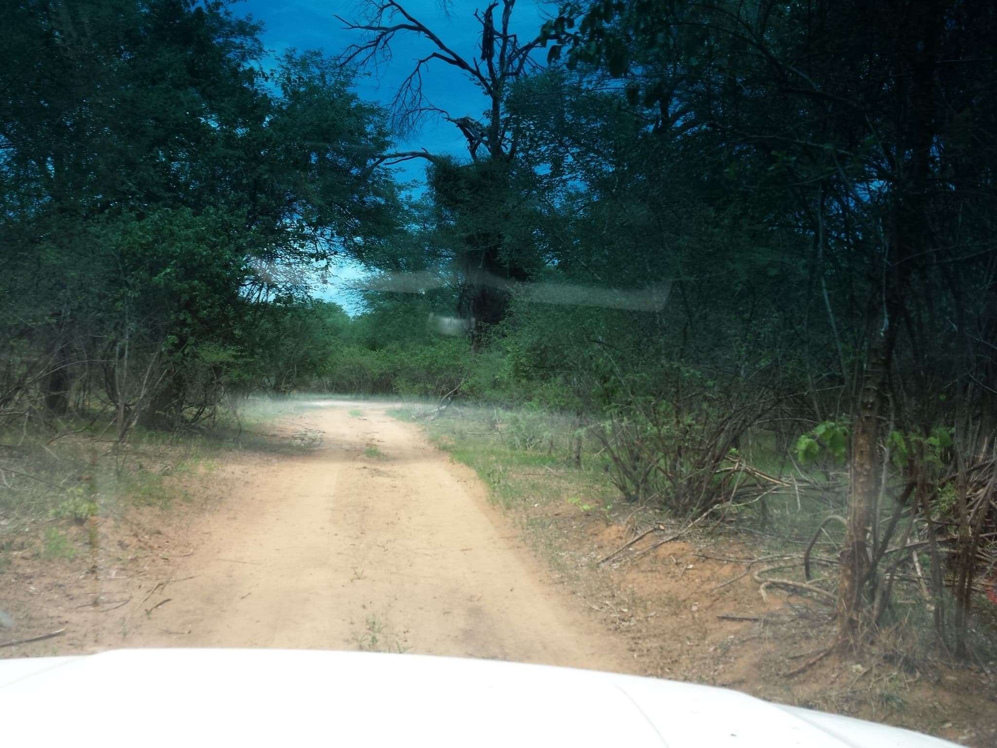 Street view near Campsite 2, Bagani — © staehler (CC BY-SA · Mapillary)