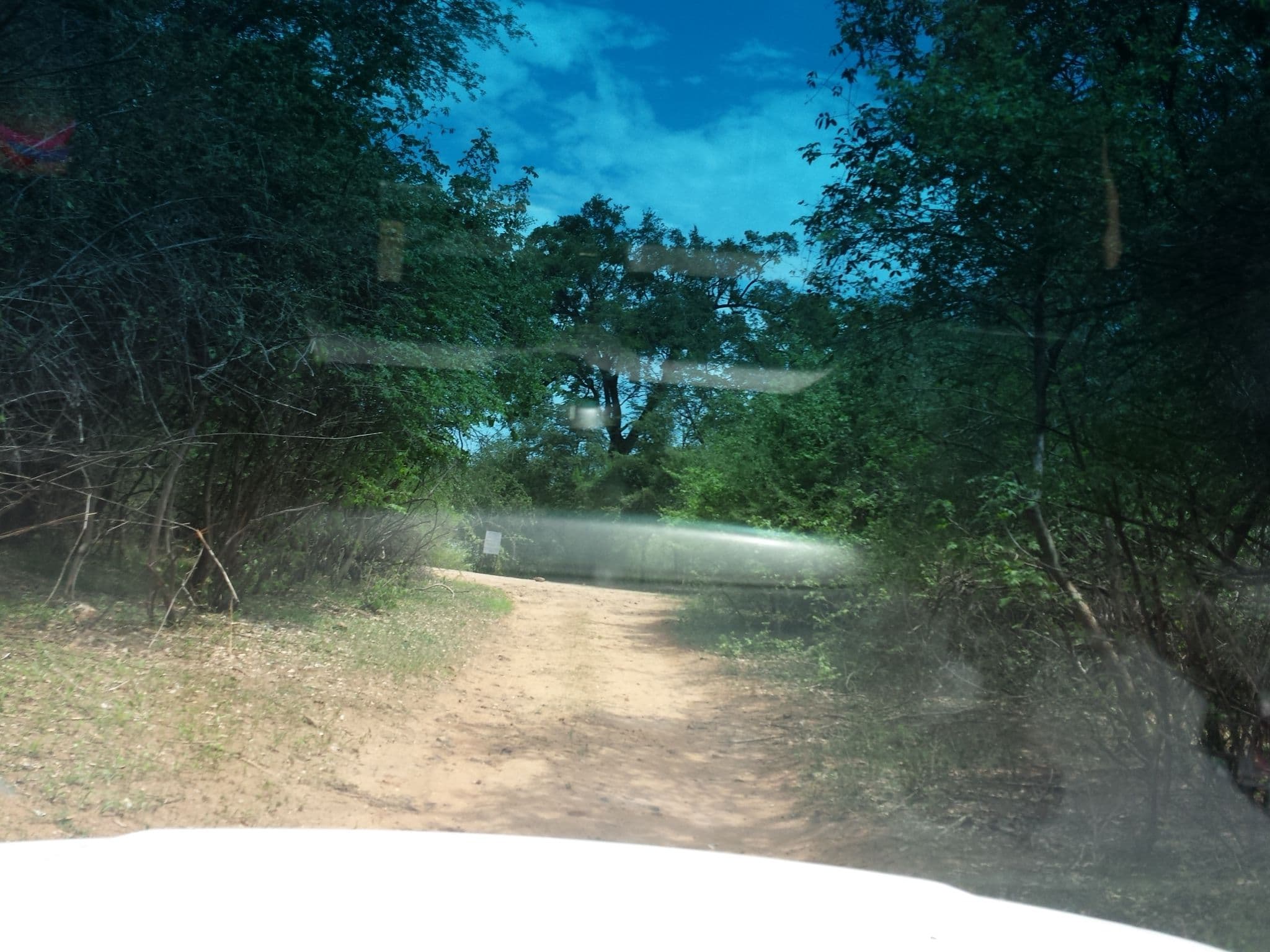 Street view near Chalet, Bagani — © staehler (CC BY-SA · Mapillary)