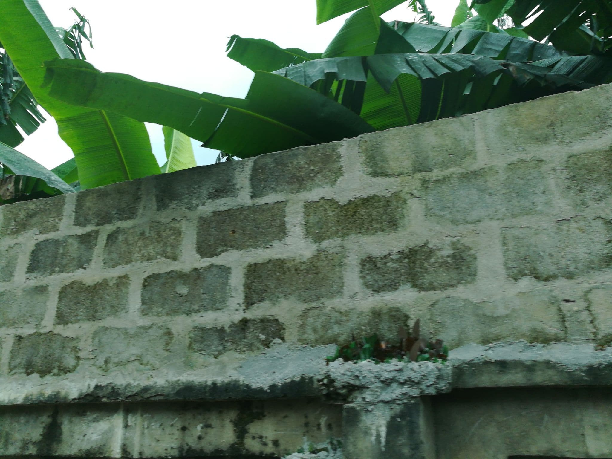 Street view near 9 Nwogu Street, Port Harcourt — © ralebipim (CC BY-SA · Mapillary)
