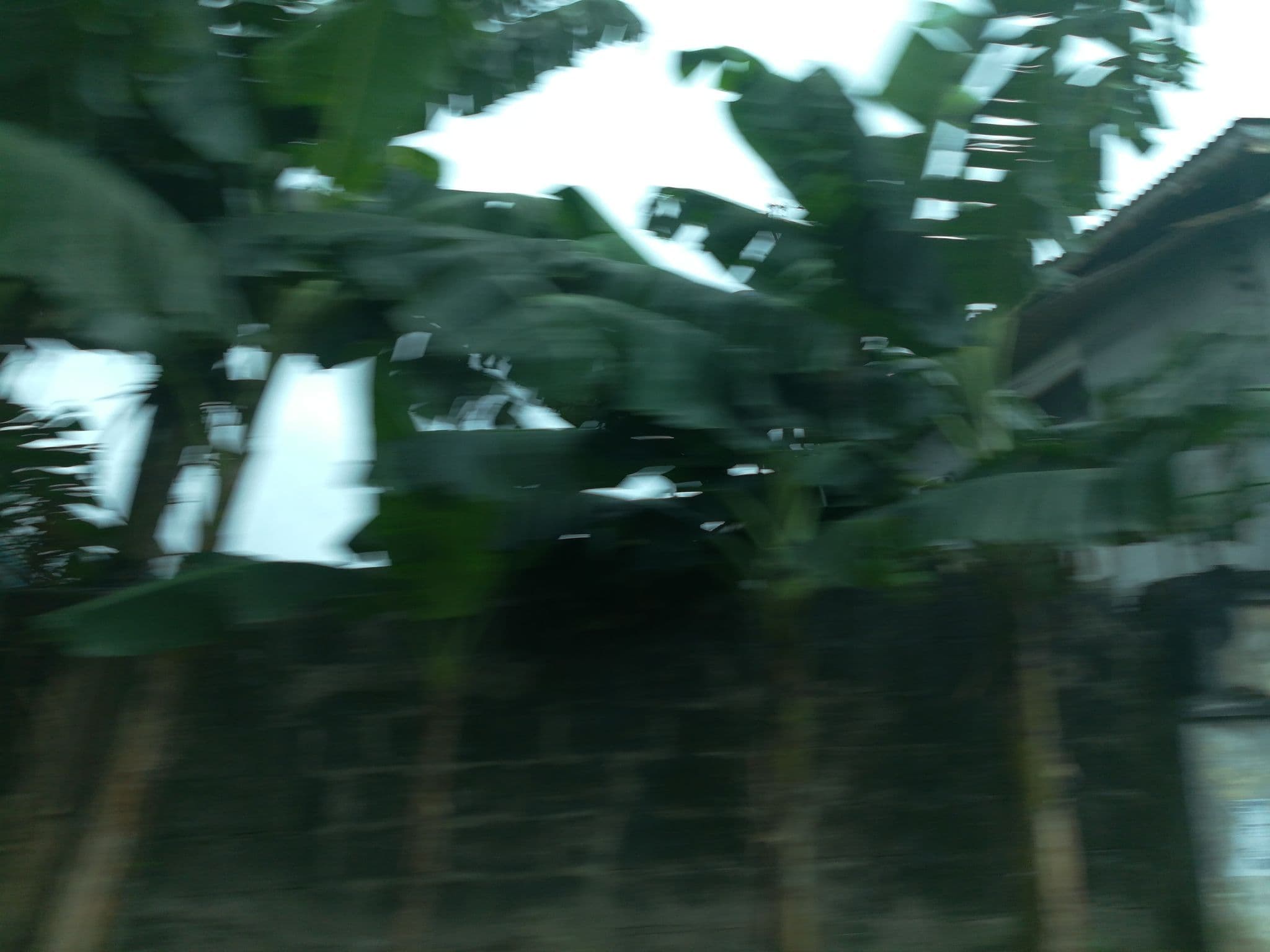 Street view near 11 Nwogu Street, Port Harcourt — © ralebipim (CC BY-SA · Mapillary)