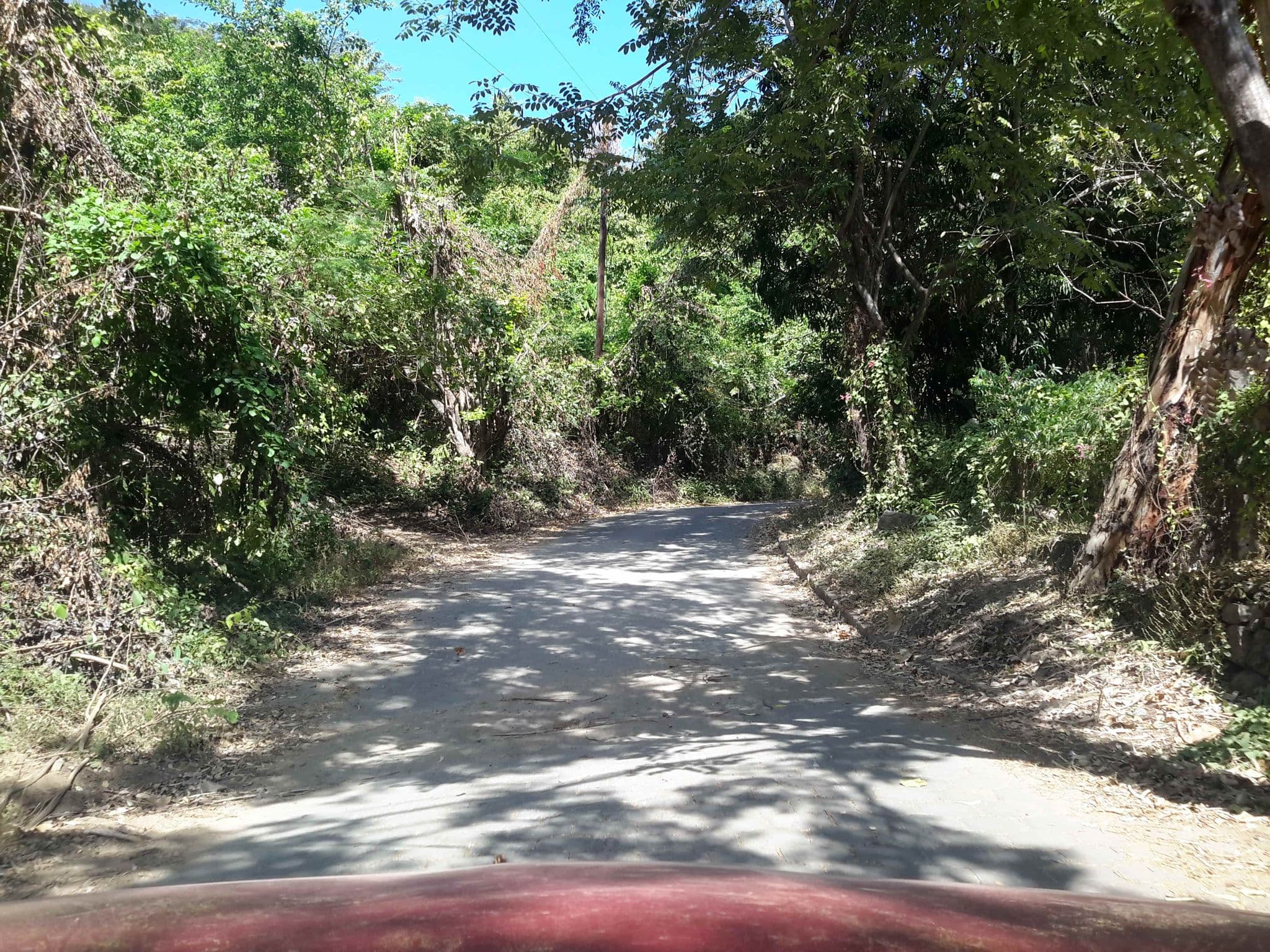 Street view near Estación Biológica Escuela de Español y Hostal, Catarina — © jaakkoh (CC BY-SA · Mapillary)