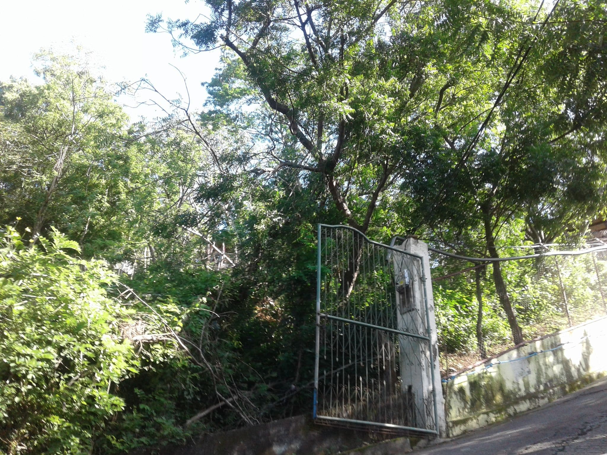 Street view near Nicovale, San Juan del Sur