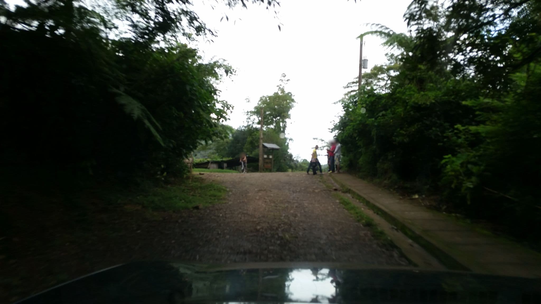 Street view near Finca Agroturistica Don Chico, Las Praderas — © jaakkoh (CC BY-SA · Mapillary)