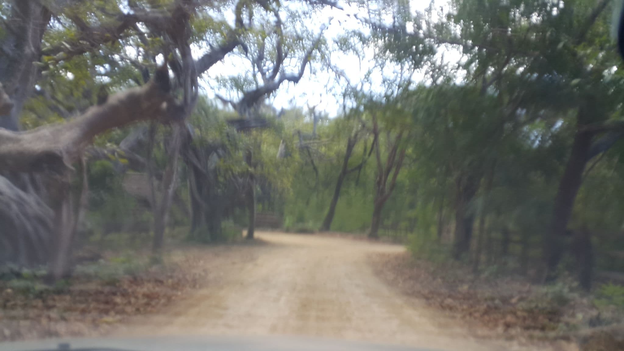 Street view near Balcones de Majagual, San Juan del Sur