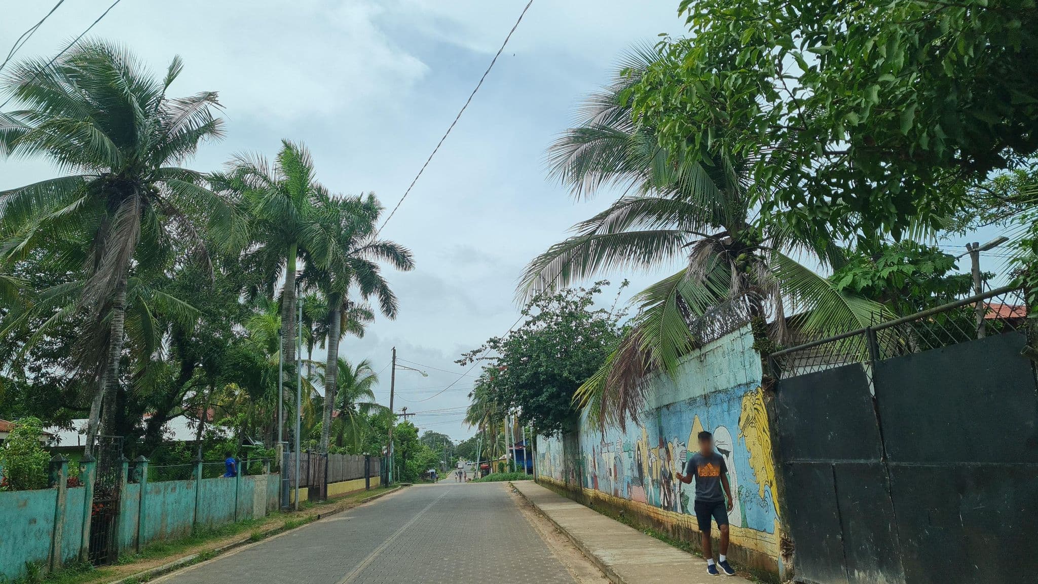Street view near Casa Museo Judith Kain, Puerto Cabezas — © carlos_gis (CC BY-SA · Mapillary)