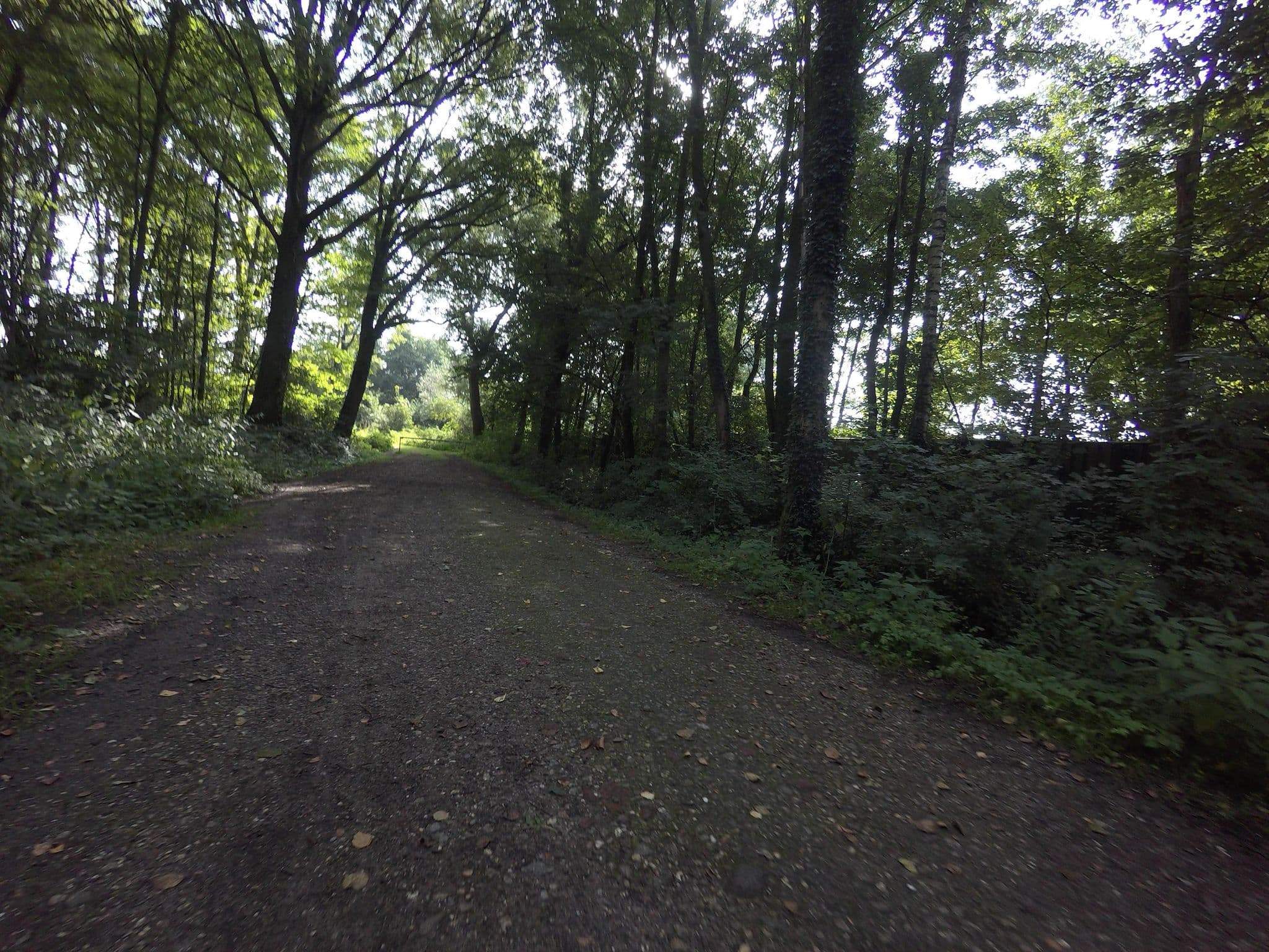 Street view near Naturistencamping Aamsveen, Wooldrik — © ankeric (CC BY-SA · Mapillary)