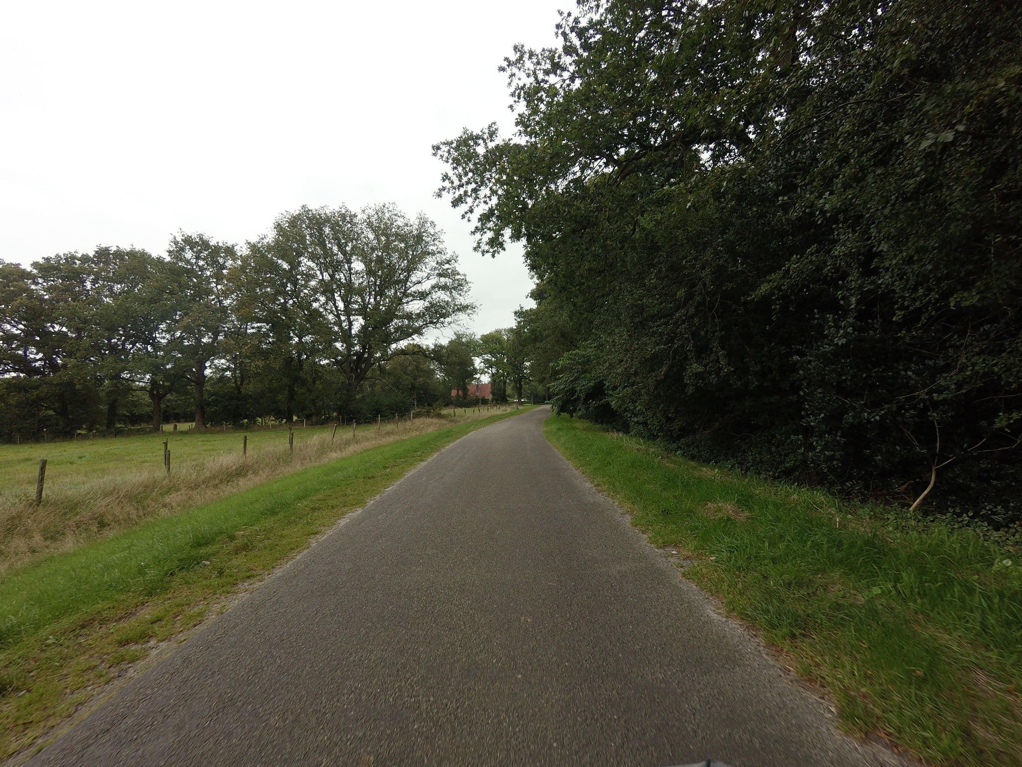 Street view near Natuurkampeerterrein De Woldberg, Tuk — © ankeric (CC BY-SA · Mapillary)