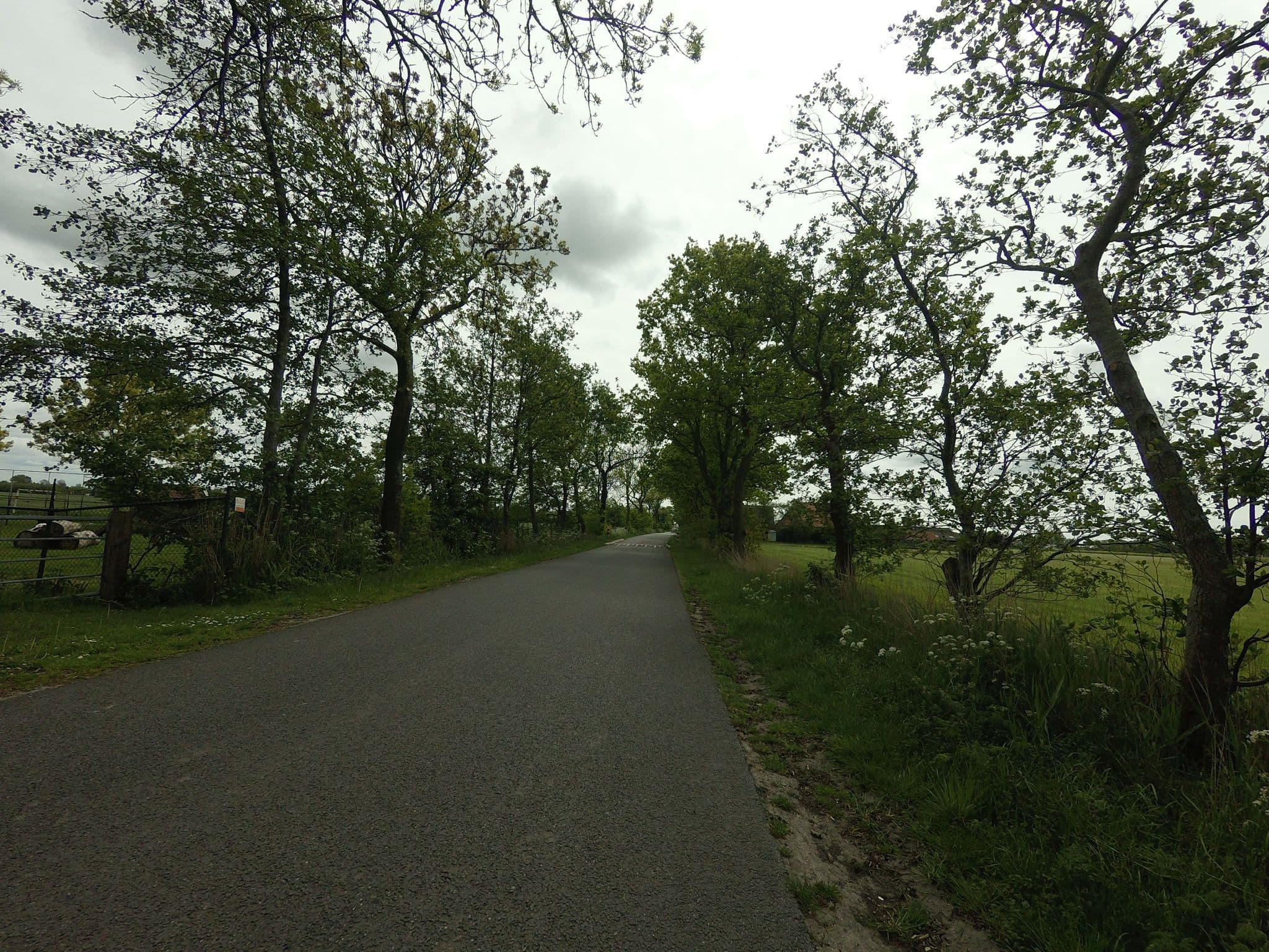 Street view near Camping Venema, Koudum — © ankeric (CC BY-SA · Mapillary)