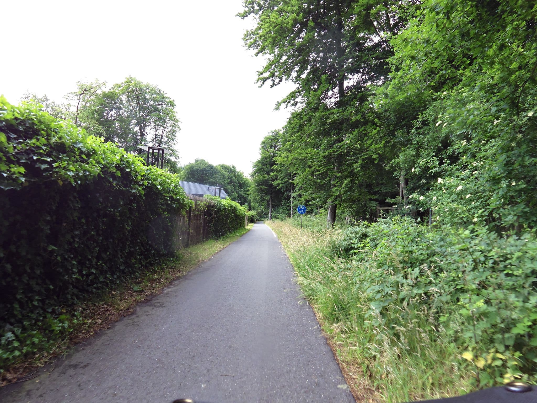 Street view near De Echoput, Berg en Bos — © sander_h (CC BY-SA · Mapillary)