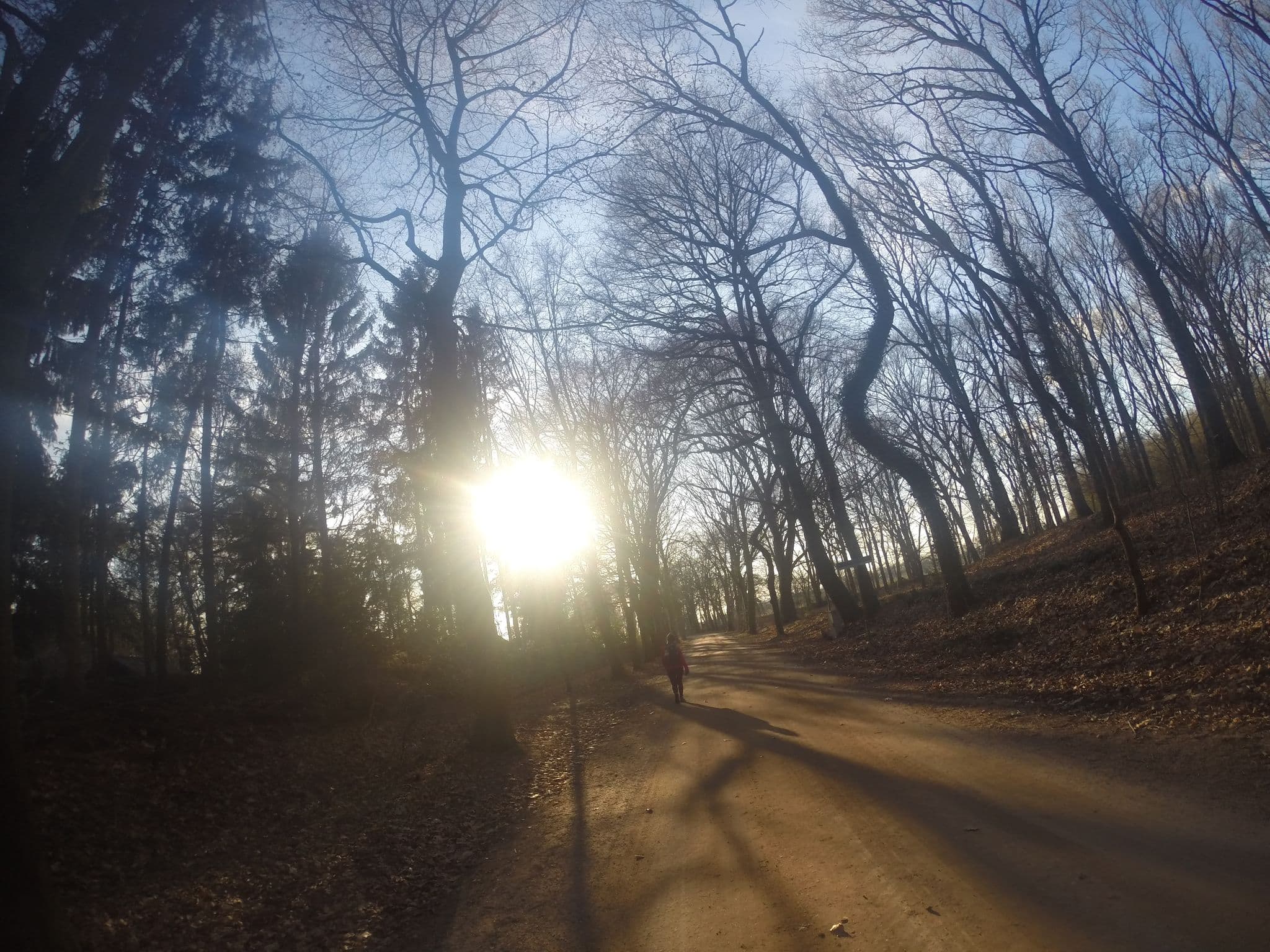 Street view near Vogelenzang, Vorden — © commodoortje (CC BY-SA · Mapillary)
