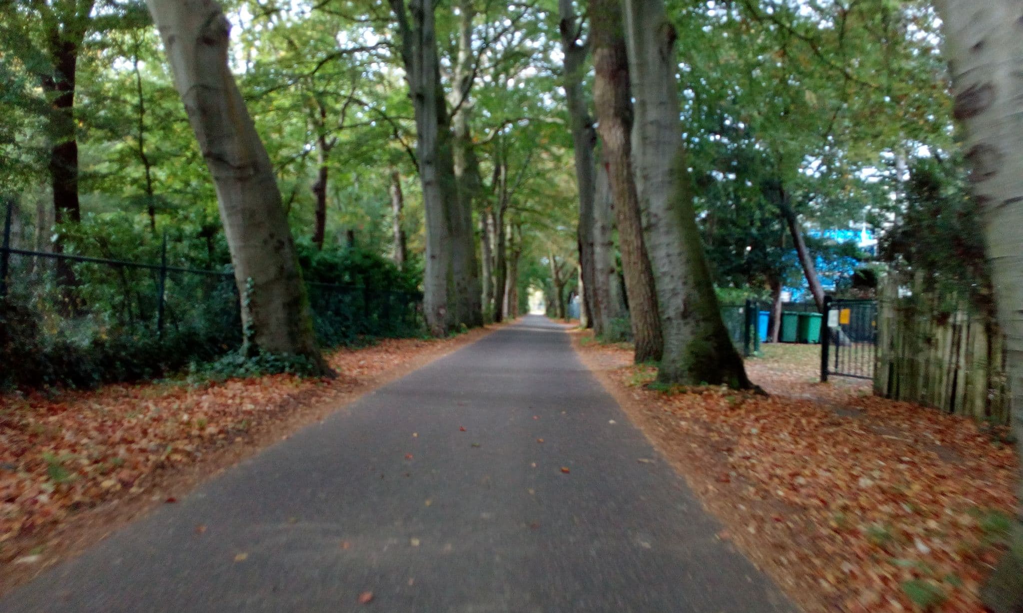 Street view near De Rode Beuk, Kerkehout — © micmin1972 (CC BY-SA · Mapillary)