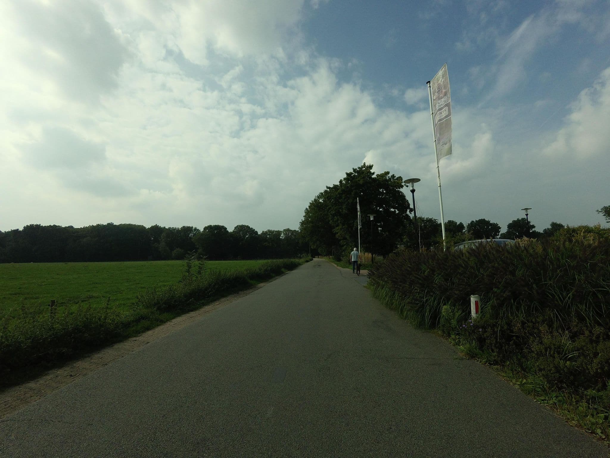Street view near Hotel De Boshoek, Voorthuizen — © ankeric (CC BY-SA · Mapillary)