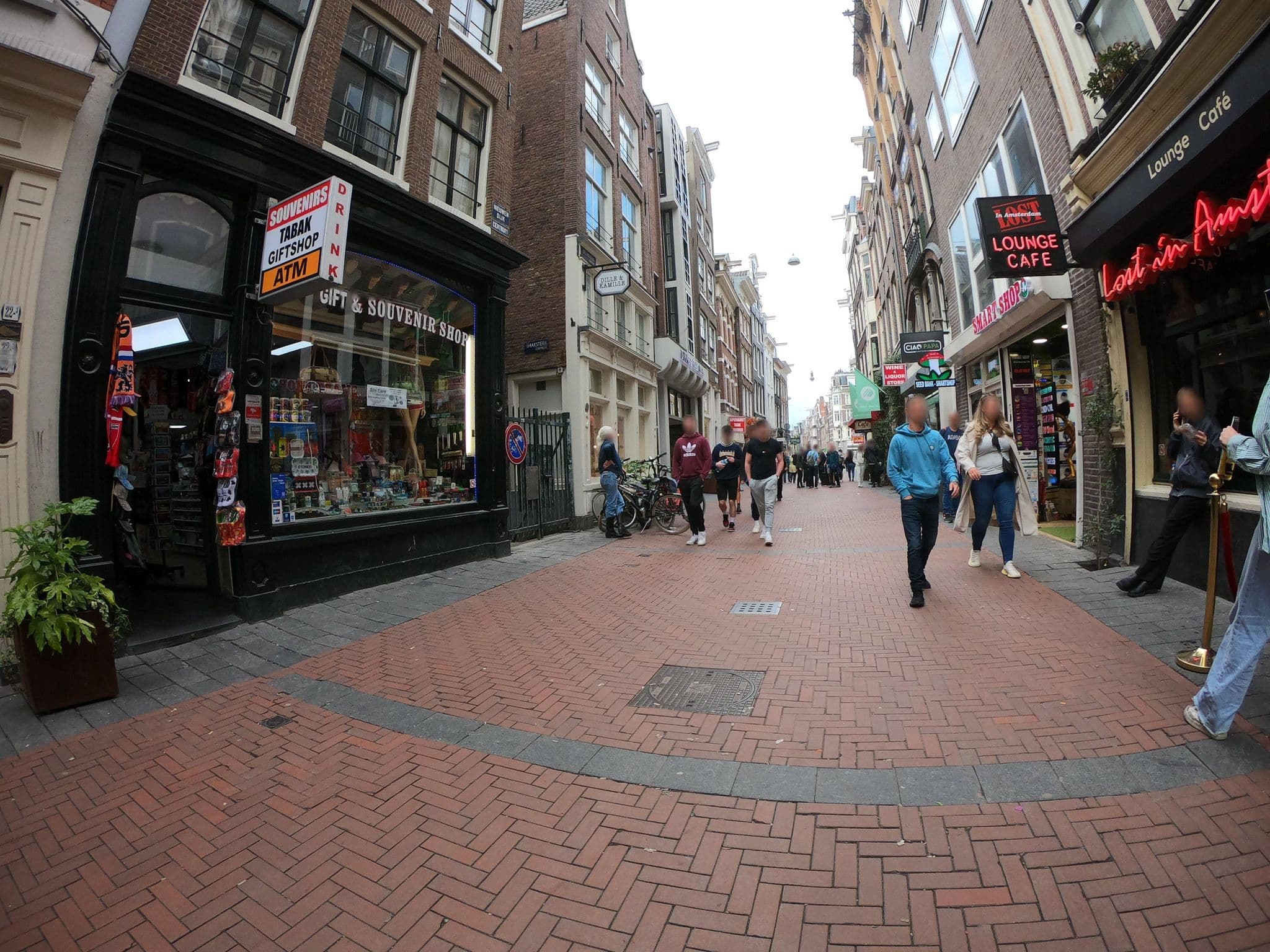 Street view near Groenendael, Amsterdam