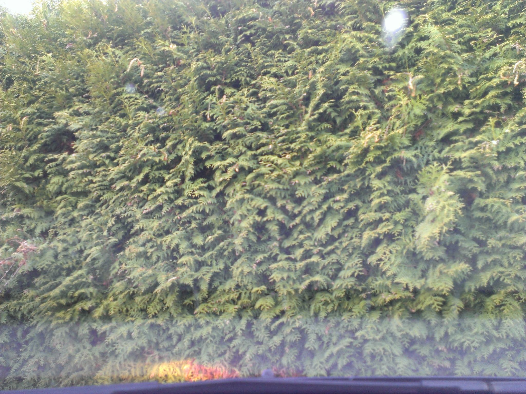 Street view near IJsselzicht, Wijhe — © montfrooij (CC BY-SA · Mapillary)
