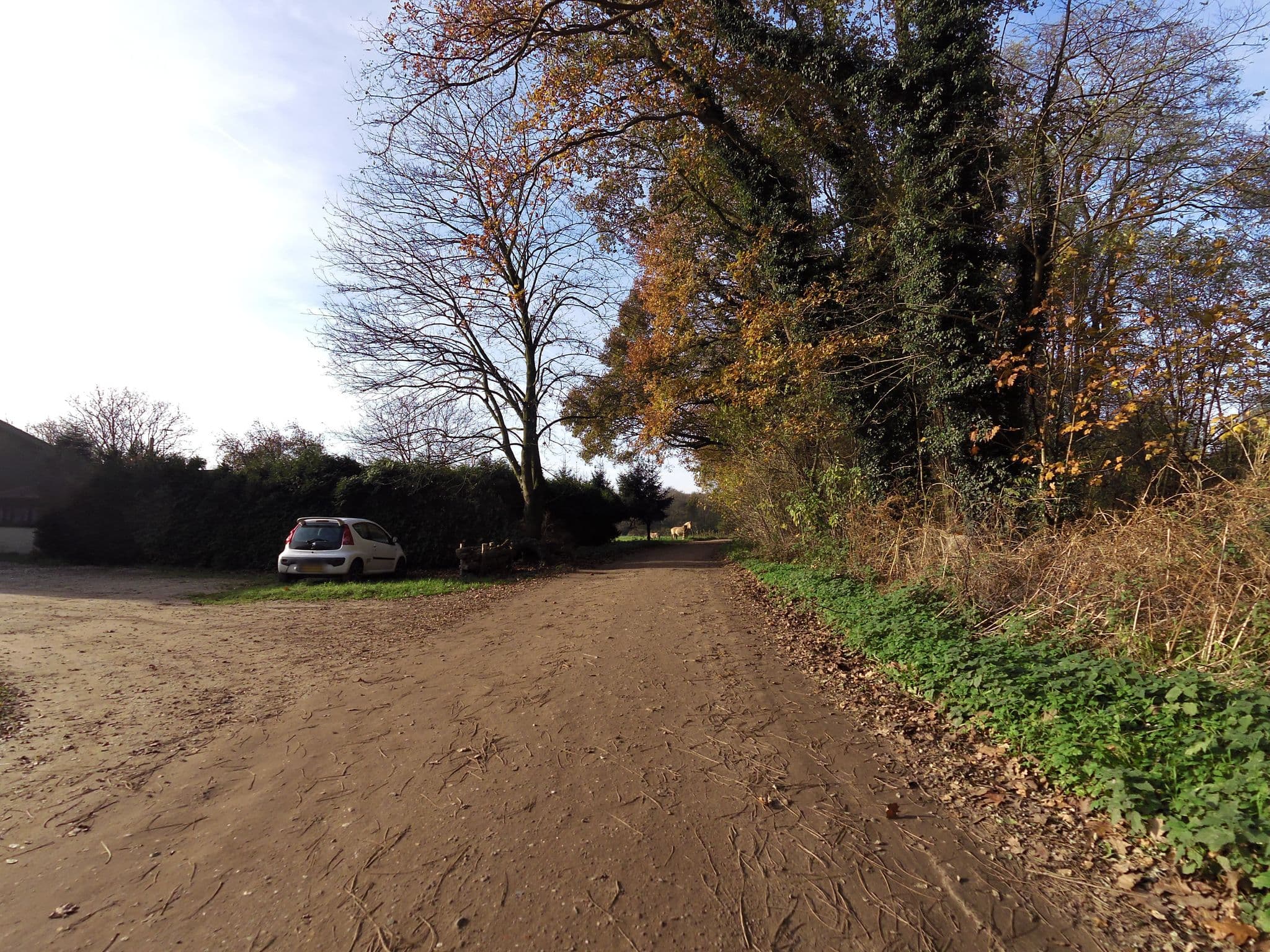 Street view near Vakantieboerderij De Ooymanhoeve, Oosseld — © wimmel (CC BY-SA · Mapillary)