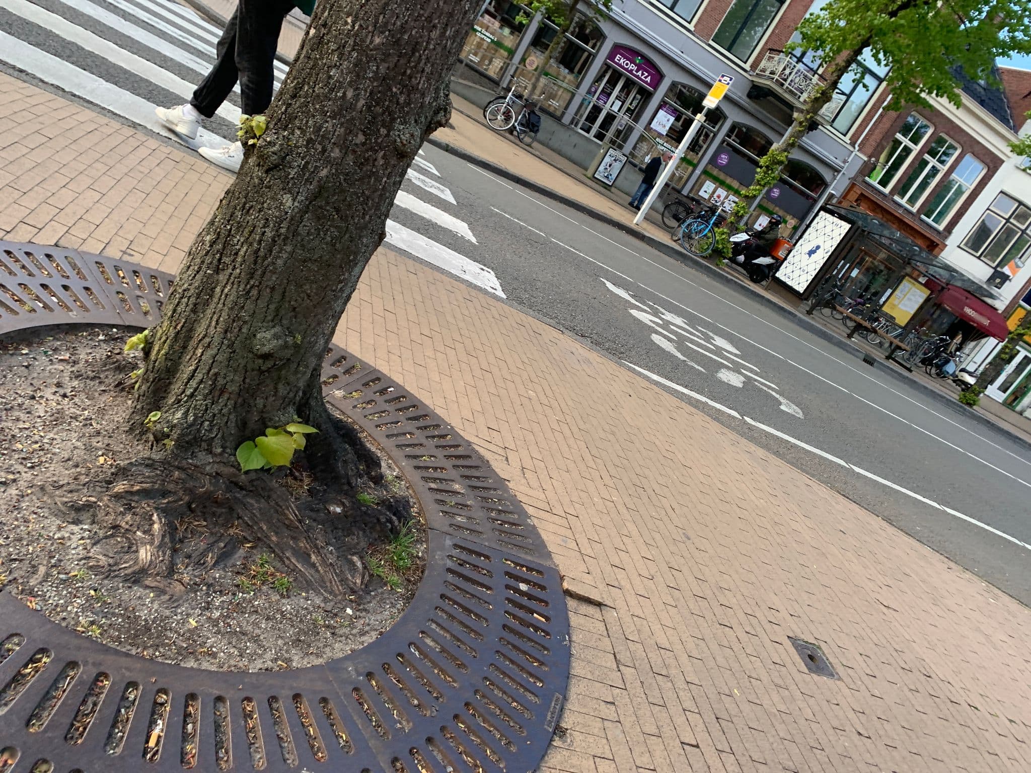 Street view near Pension Tivoli, Groningen — © pLyMiEwGpWDLryMacQzo (CC BY-SA · Mapillary)