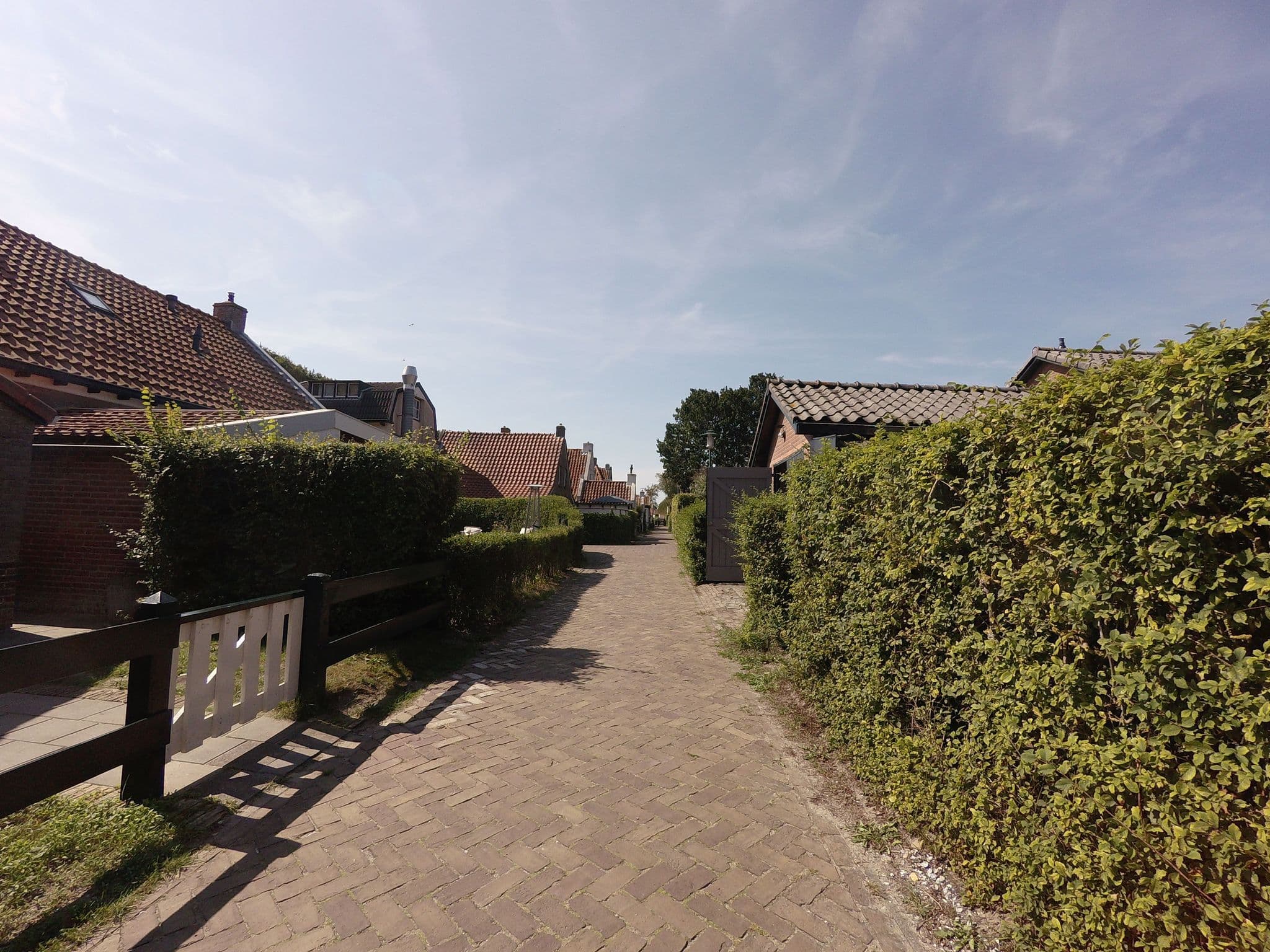 Street view near de Blauwe Distel, Ternaard — © ankeric (CC BY-SA · Mapillary)