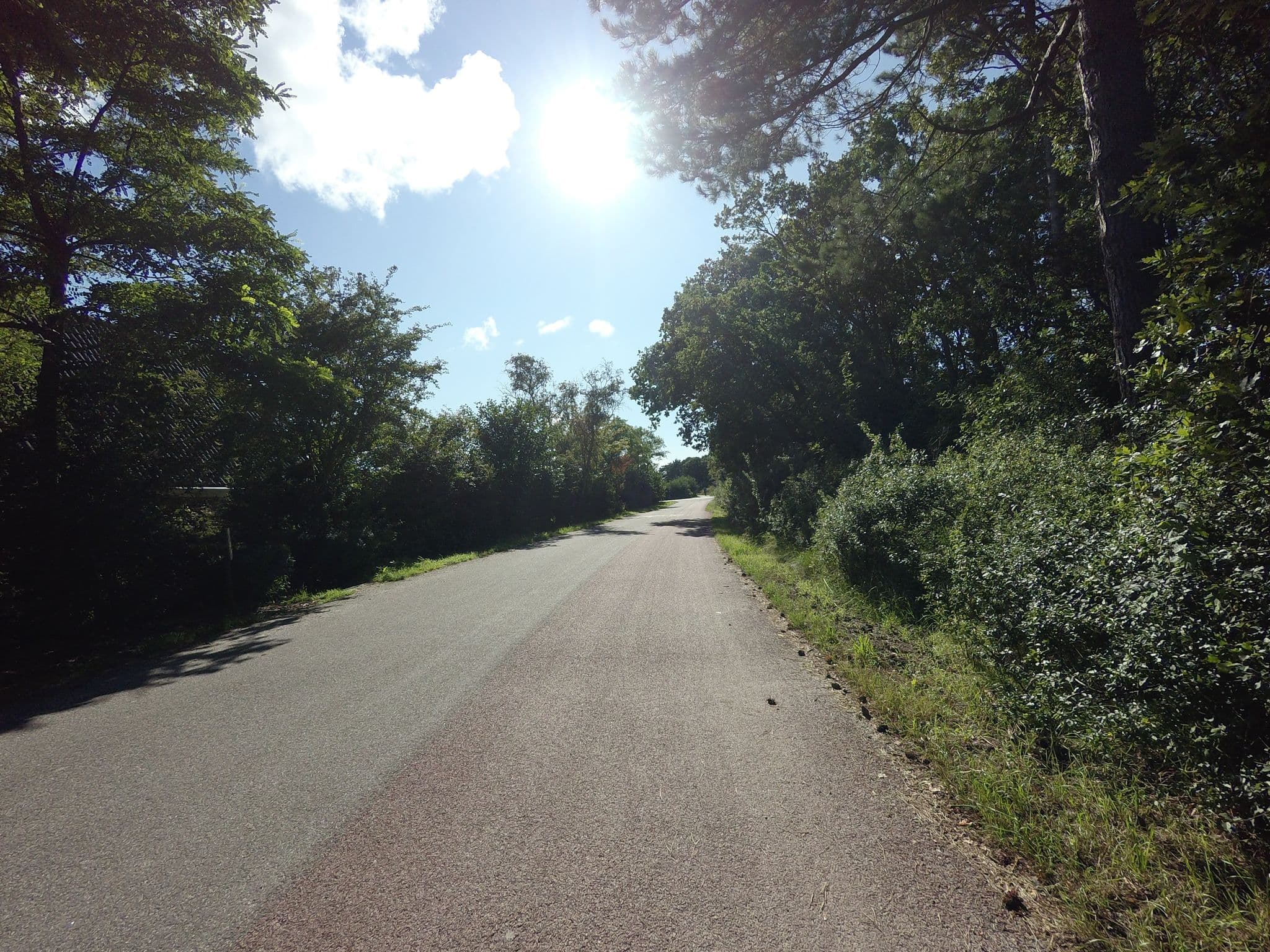 Street view near R. en P. Schroo, West-Terschelling
