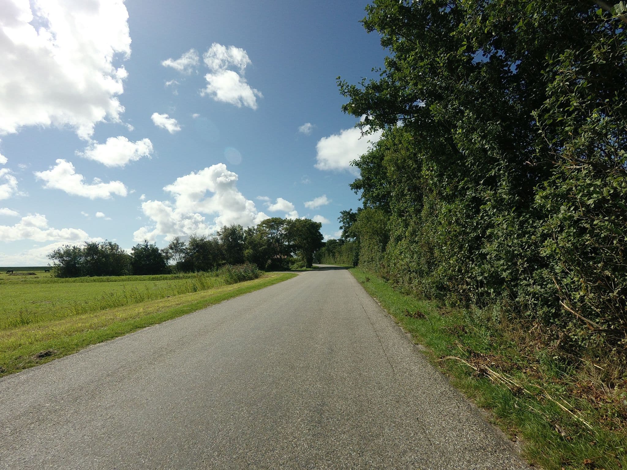 Street view near Siele Salt Twa, West-Terschelling — © ankeric (CC BY-SA · Mapillary)