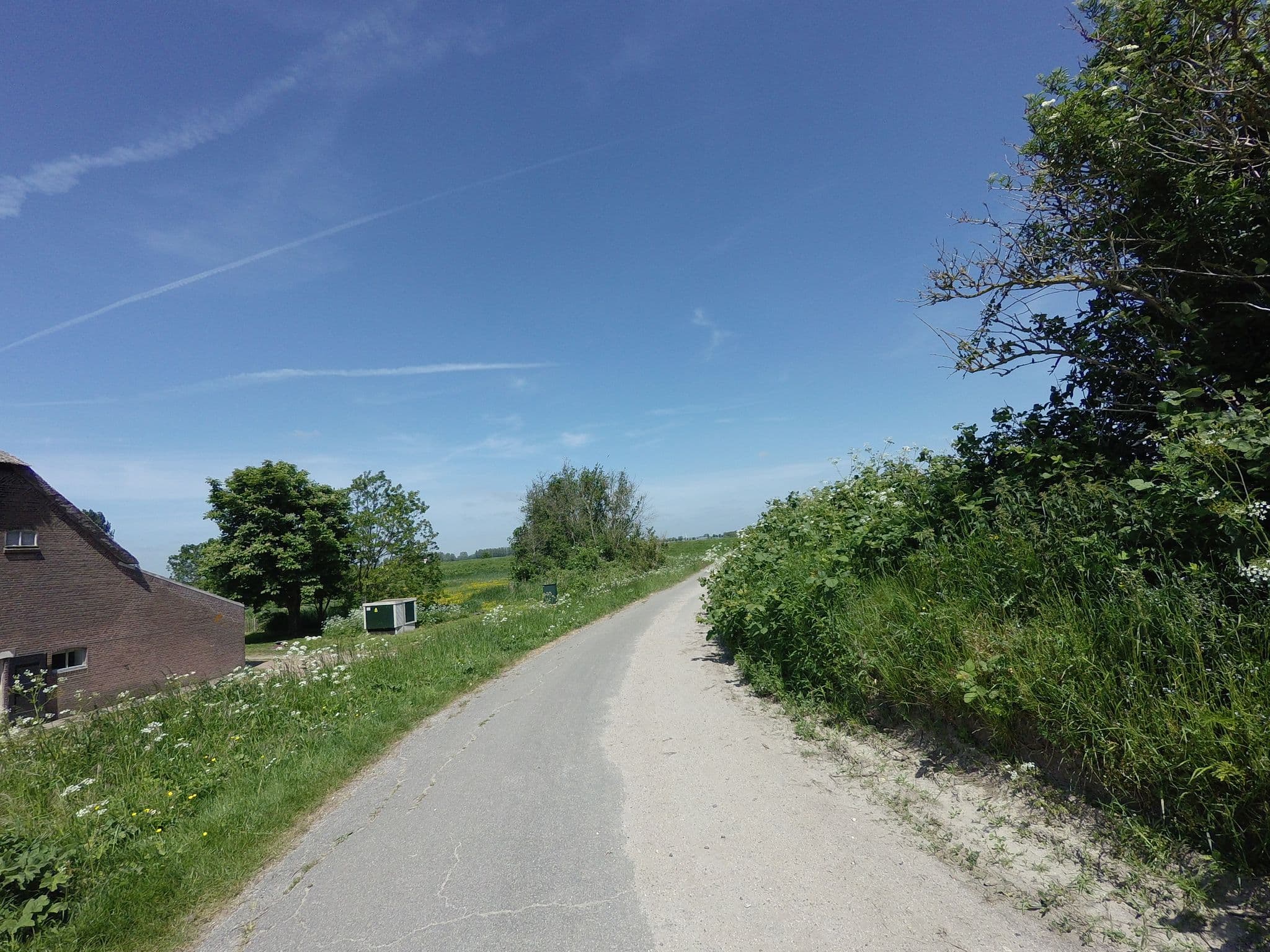 Street view near Laurettehoeve, Zuid-Beijerland — © ankeric (CC BY-SA · Mapillary)
