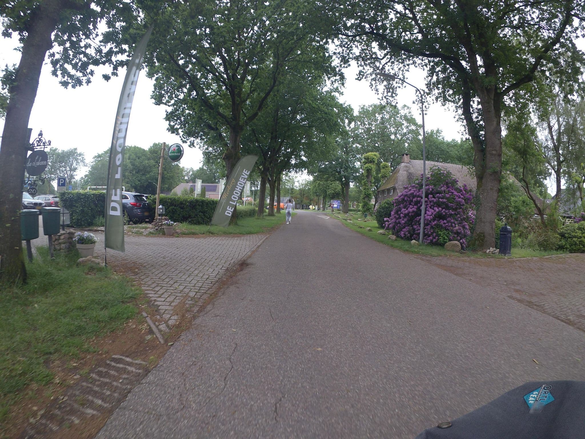Street view near De Loohoeve Hotel Restaurant, Borger — © marczoutendijk (CC BY-SA · Mapillary)