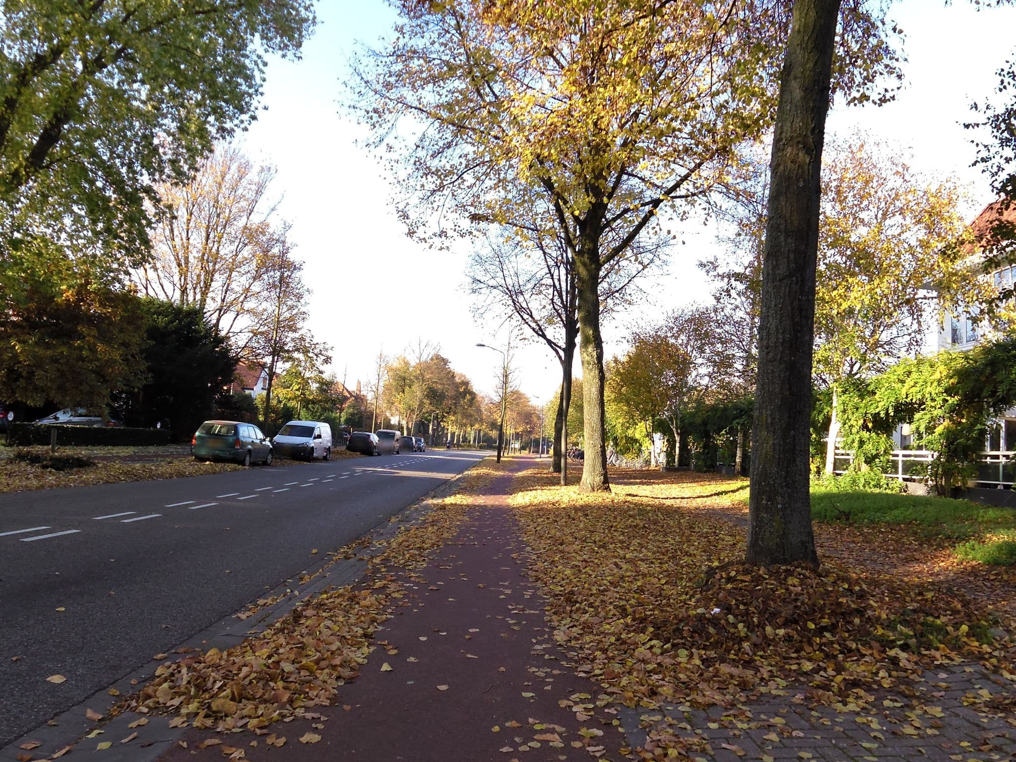 Street view near Hotel 's-Hertogenbosch - Vught, Vught — © marczoutendijk (CC BY-SA · Mapillary)