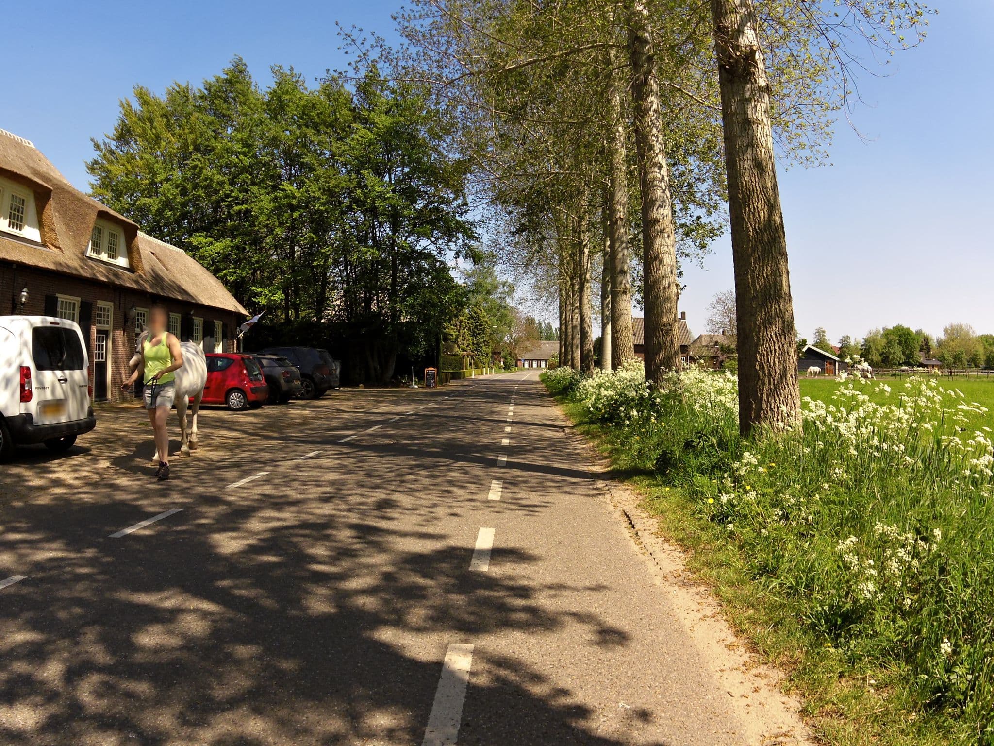 Street view near Pensionstal De Distelhoeve, Helvoirt — © marczoutendijk (CC BY-SA · Mapillary)