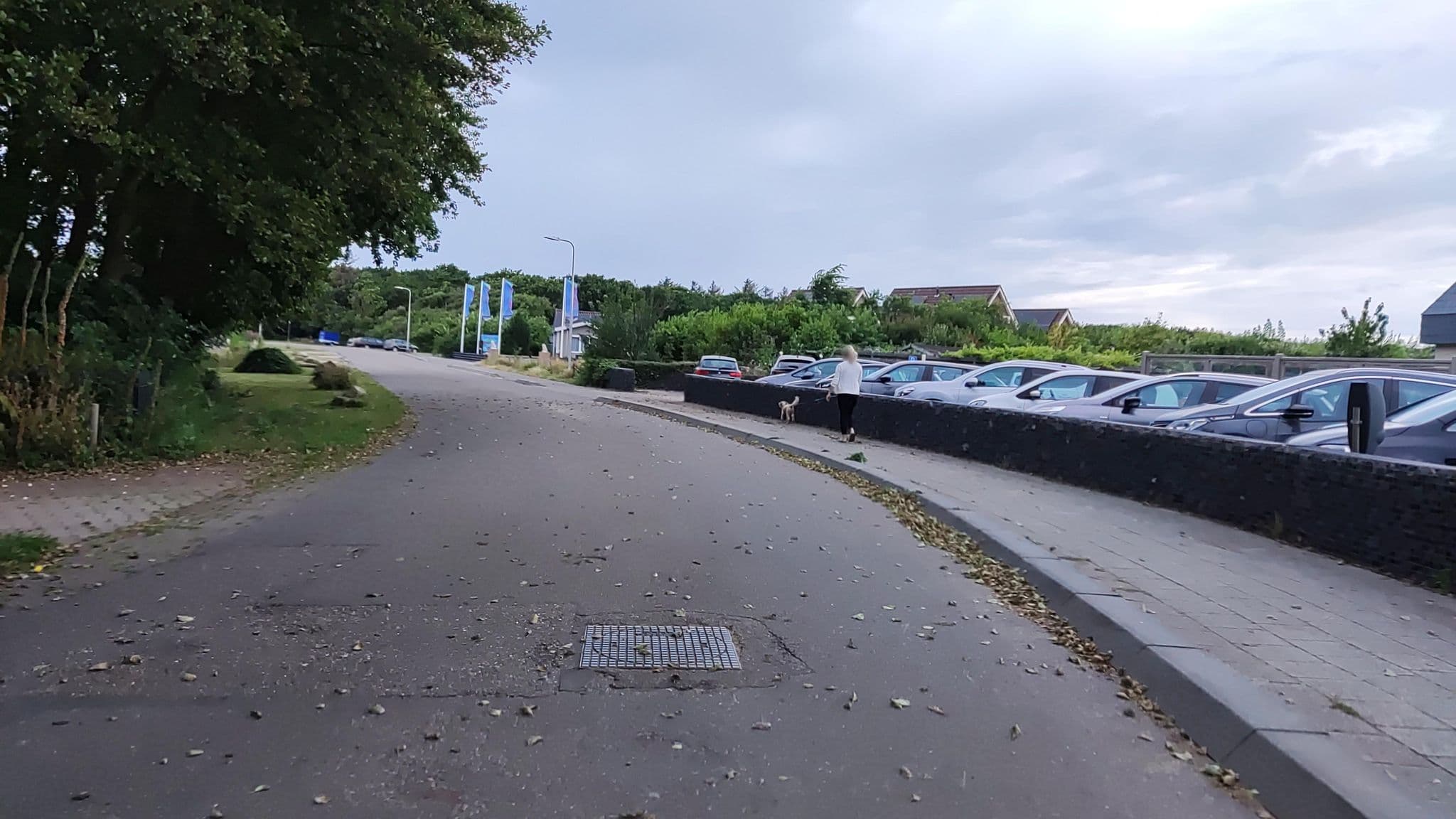 Street view near Hotel Boschrand, De Koog — © t_hartung (CC BY-SA · Mapillary)