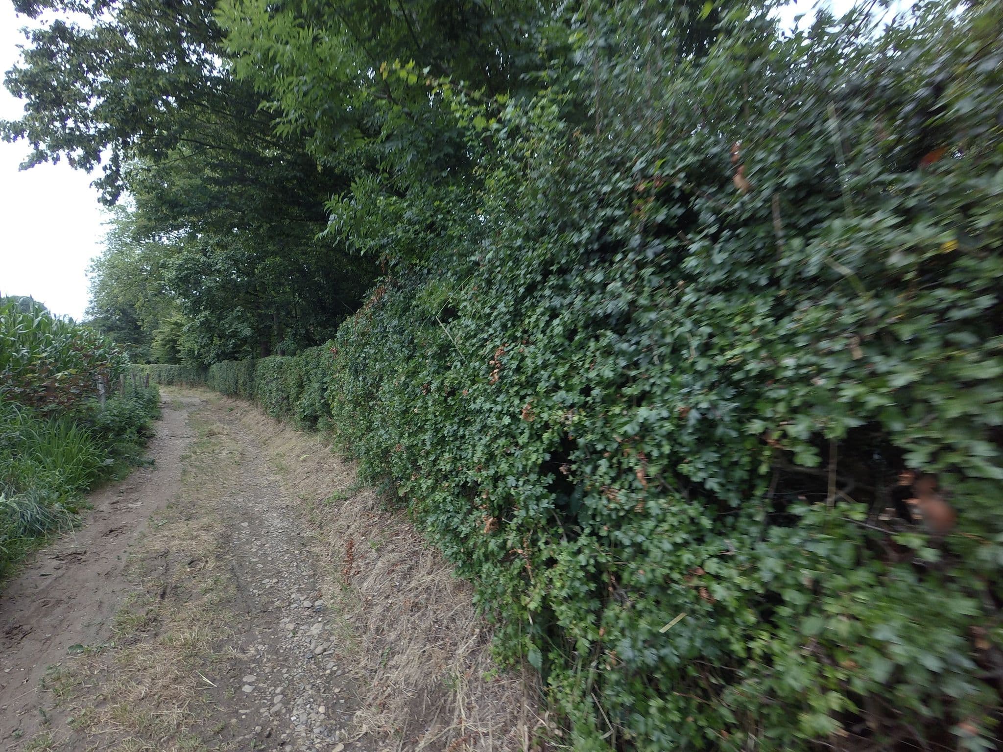 Street view near NTKC De Heerkuil, Banholt — © madel (CC BY-SA · Mapillary)